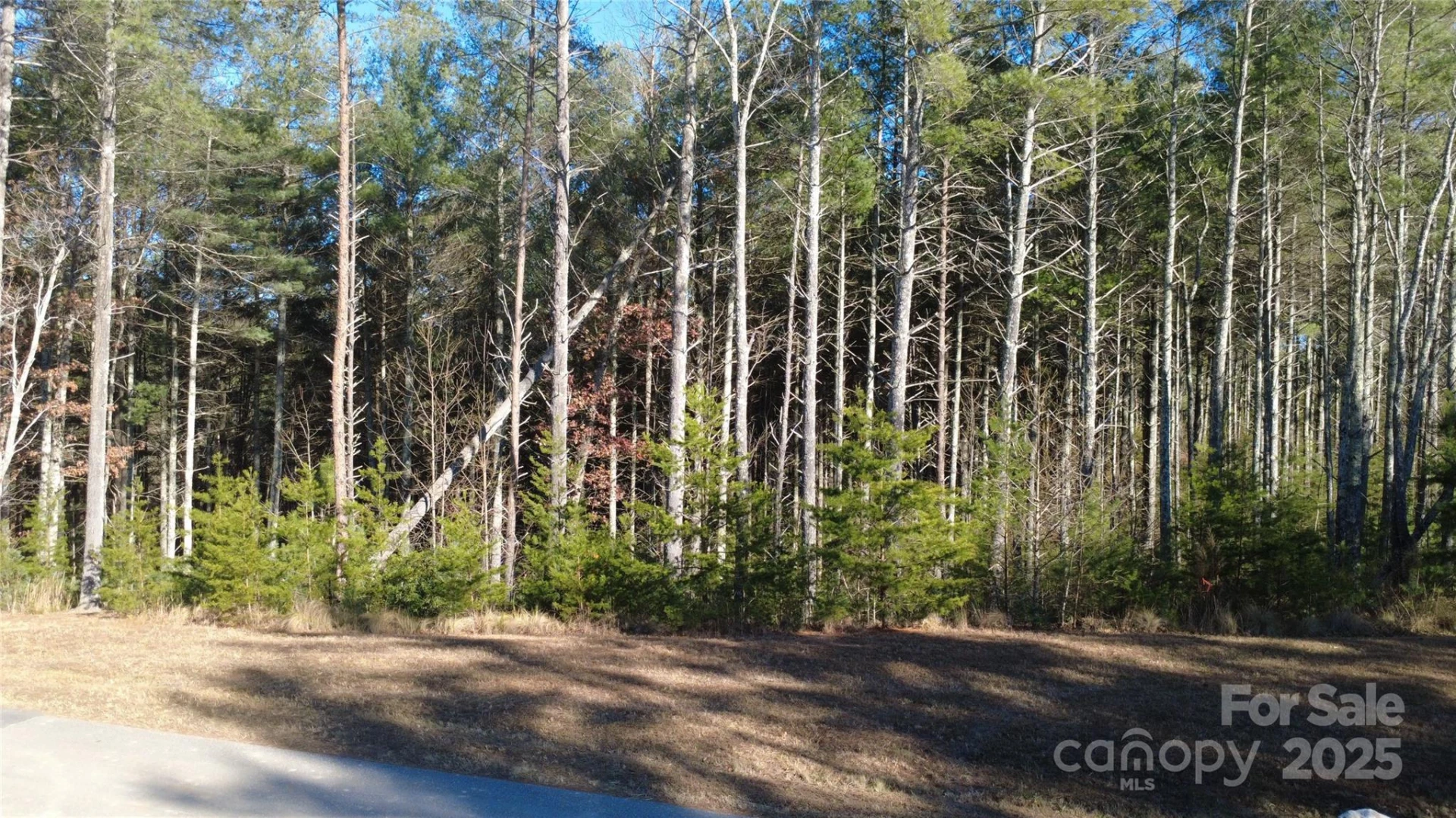 597 Peninsula Reserve Road #34 - Photo 20