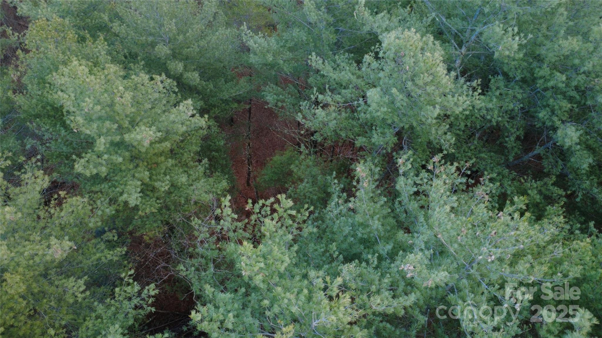 597 Peninsula Reserve Road #34 - Photo 24