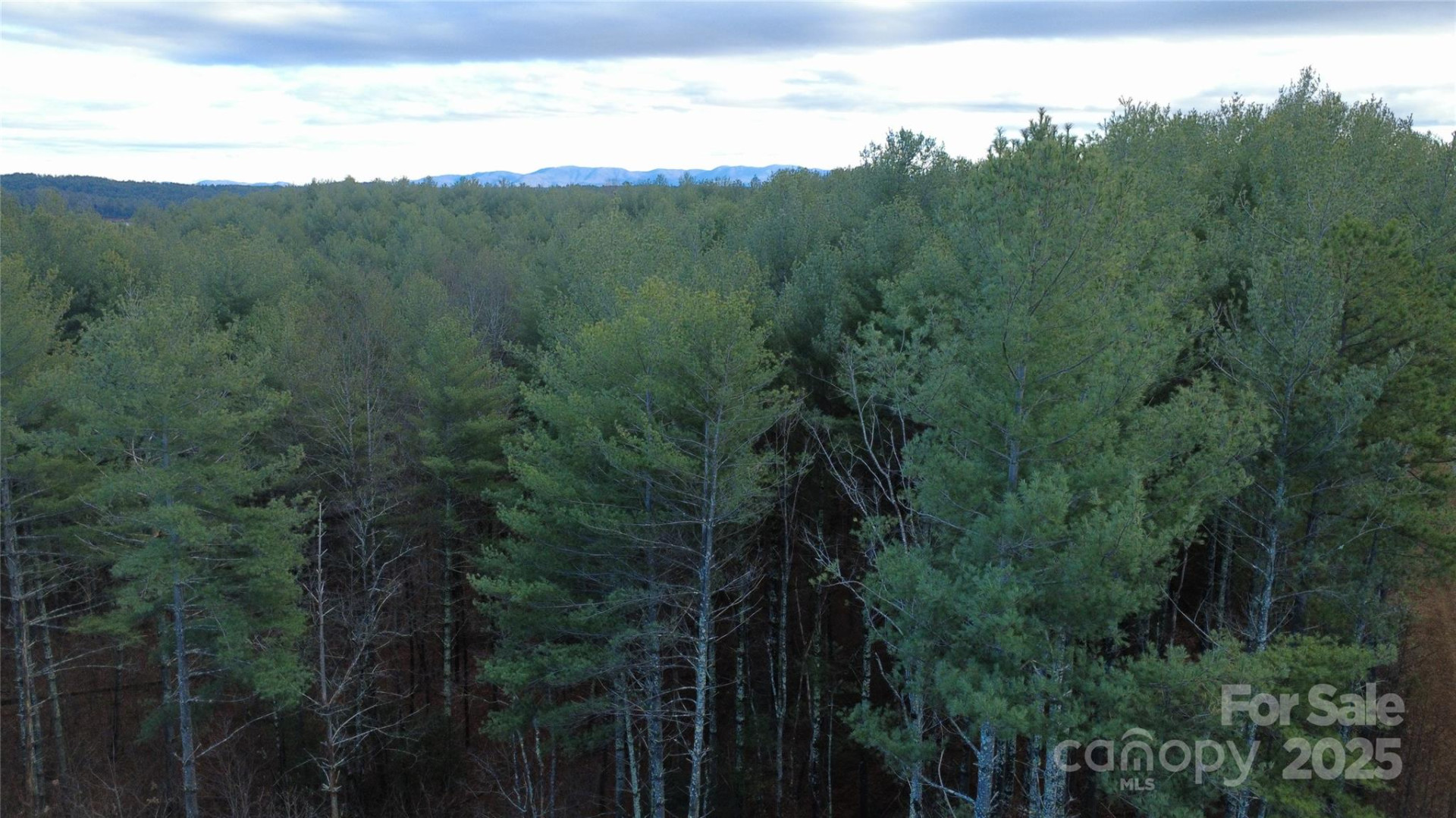 597 Peninsula Reserve Road #34 - Photo 7