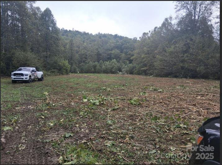 tbd 2 morgan lake Road #2 - Photo 6