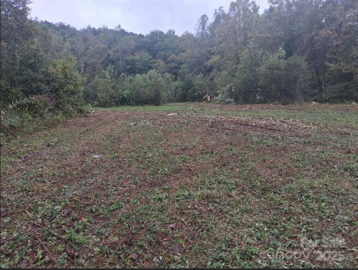 tbd 4 morgan lake Road #4 - Photo 2