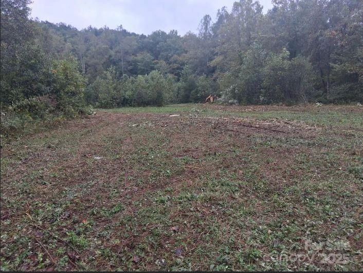 tbd 4 morgan lake Road #4 - Photo 2