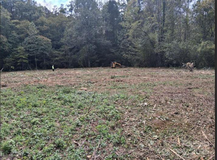 tbd 4 morgan lake Road #4 - Photo 3