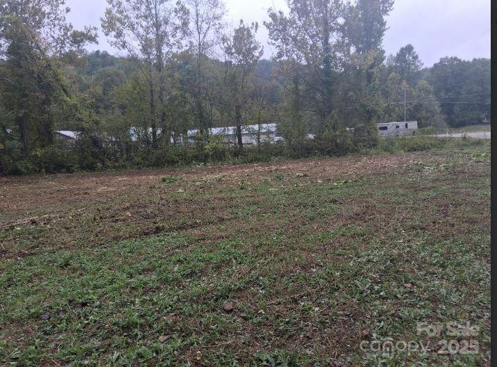 tbd 4 morgan lake Road #4 - Photo 4