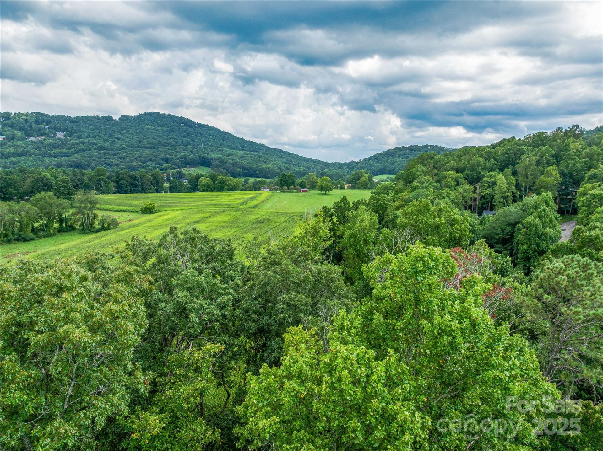 644 Walnut Valley Parkway - Photo 16