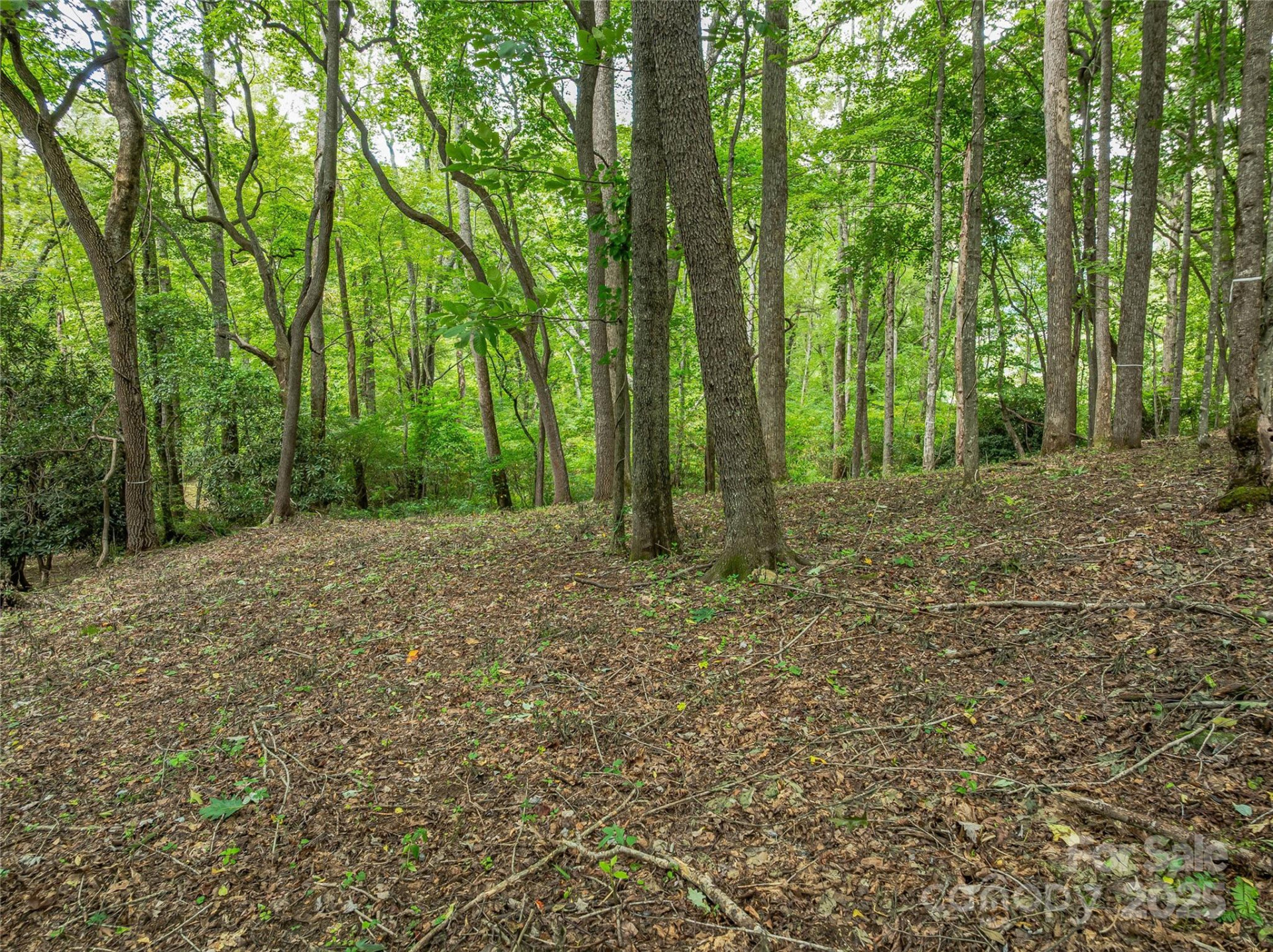 644 Walnut Valley Parkway - Photo 20