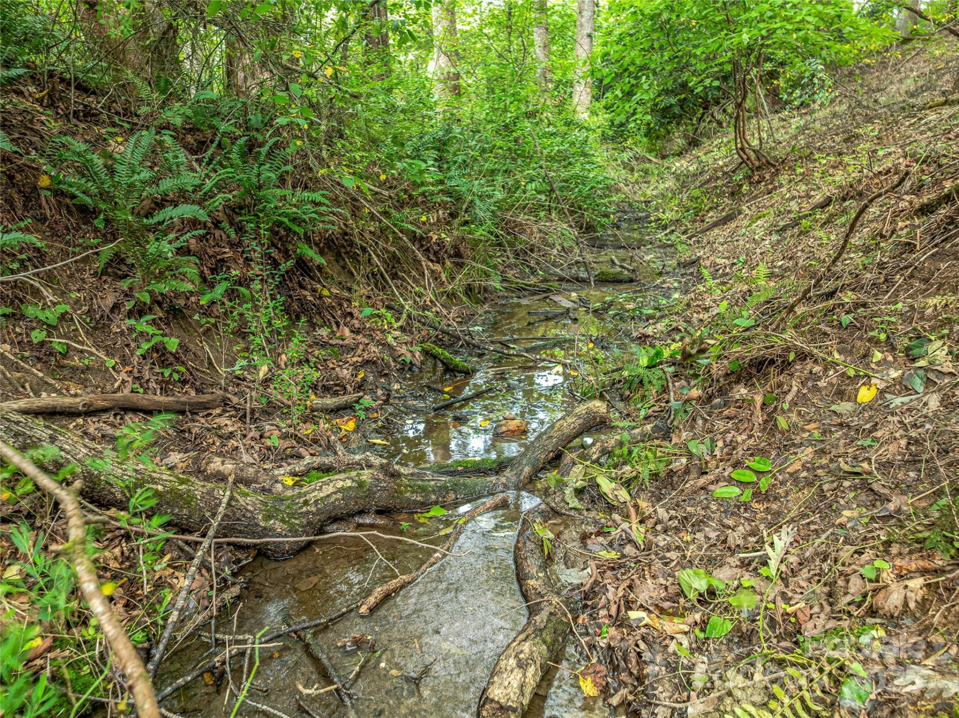 644 Walnut Valley Parkway - Photo 21