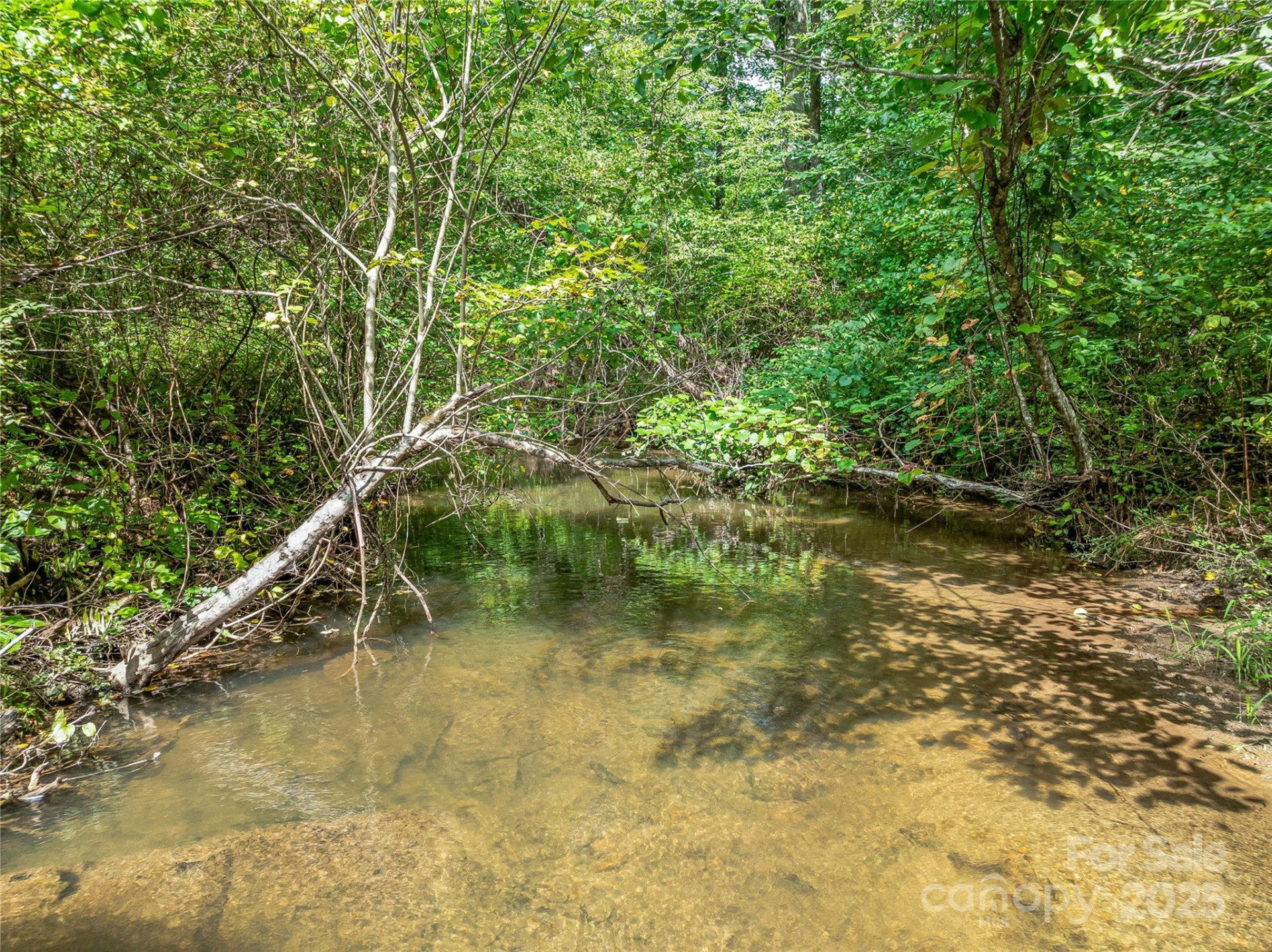 644 Walnut Valley Parkway - Photo 24