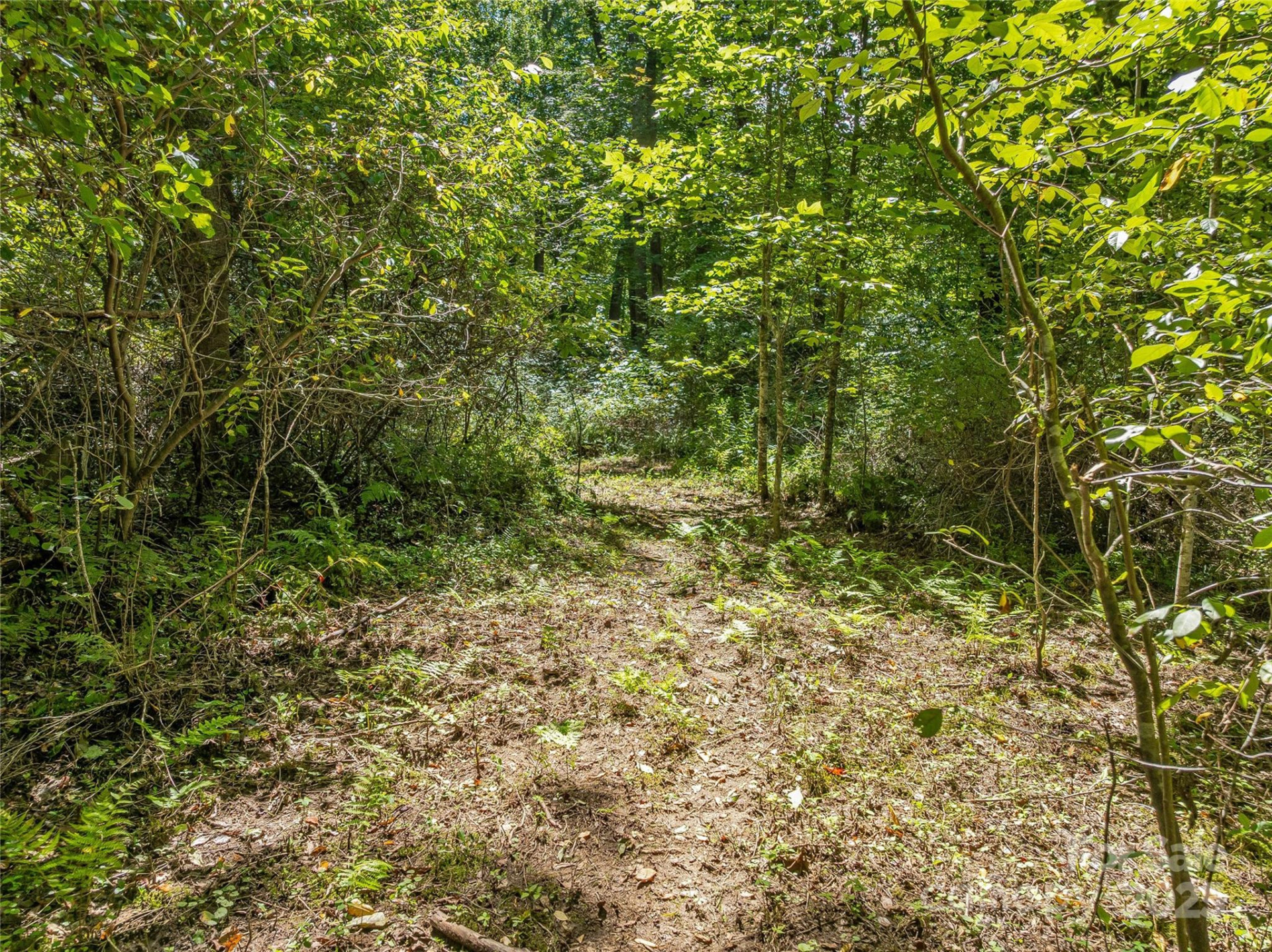 644 Walnut Valley Parkway - Photo 28