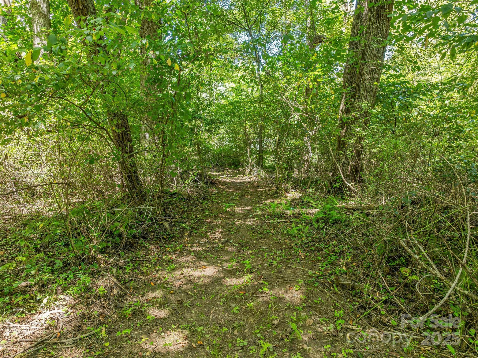 644 Walnut Valley Parkway - Photo 29