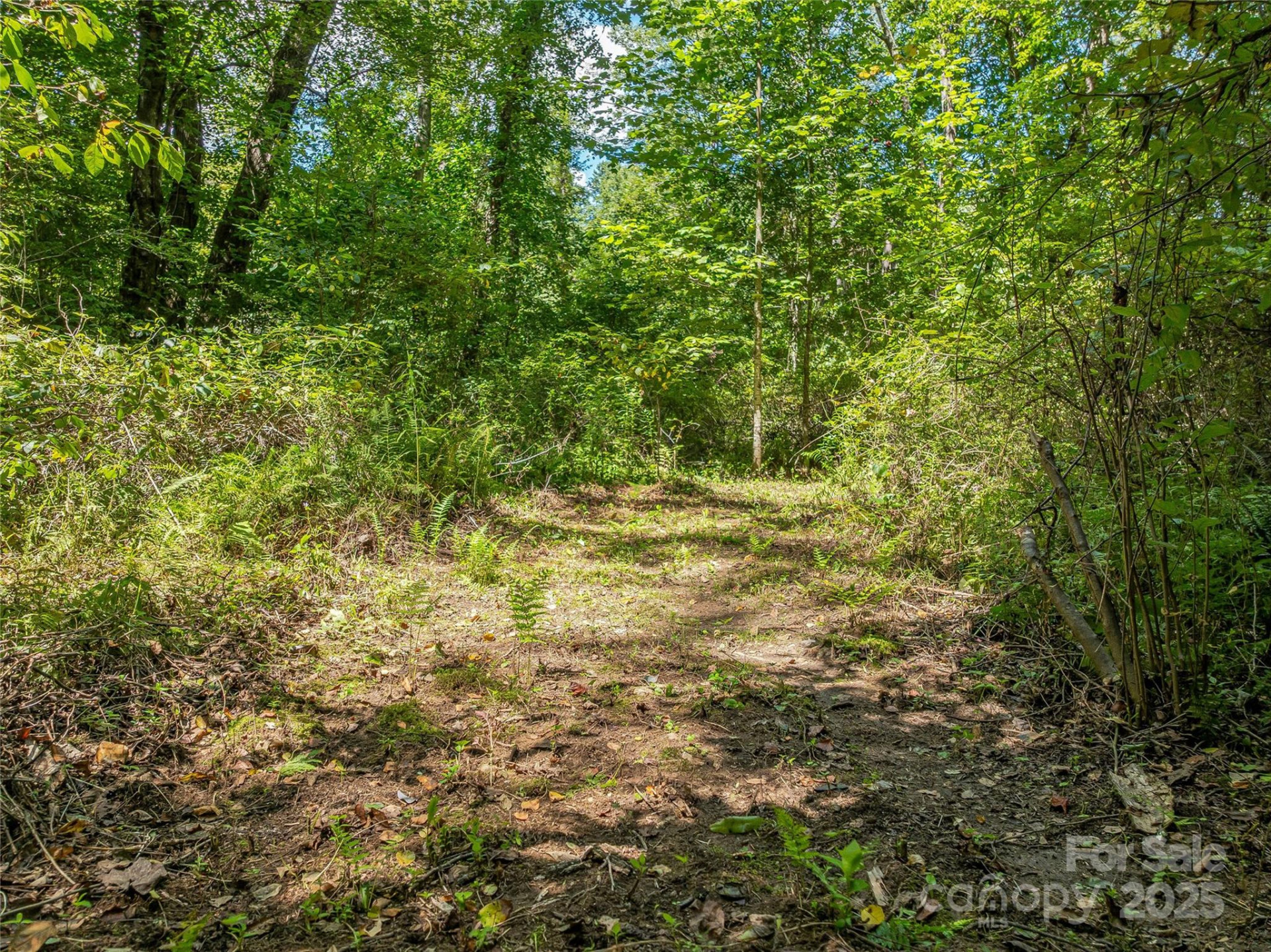 644 Walnut Valley Parkway - Photo 30