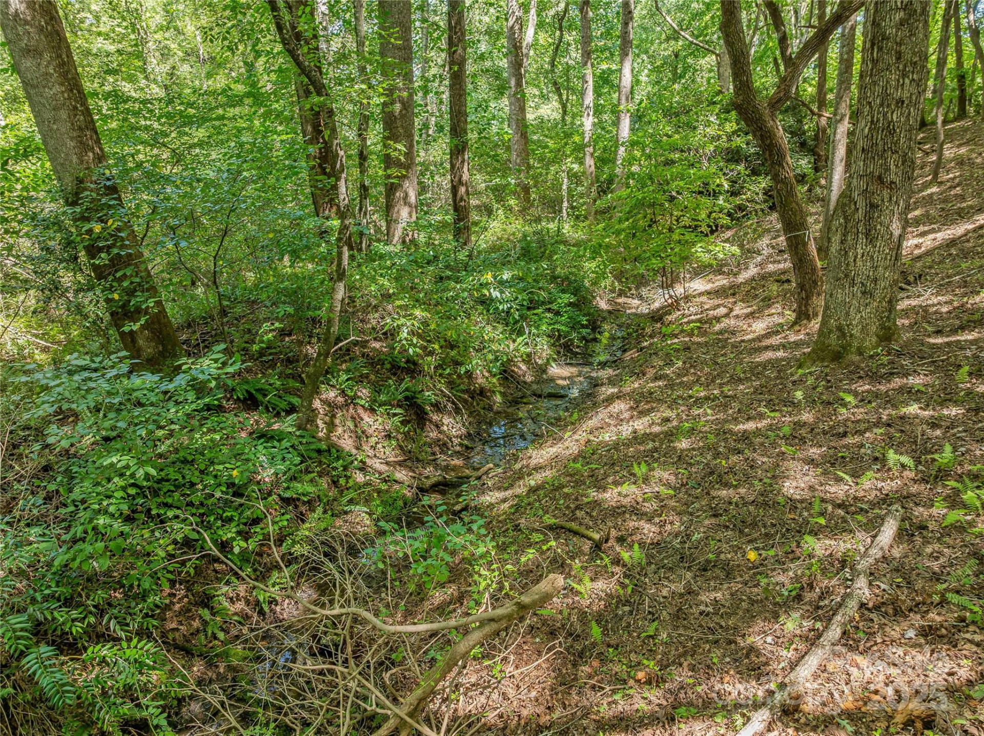 644 Walnut Valley Parkway - Photo 31