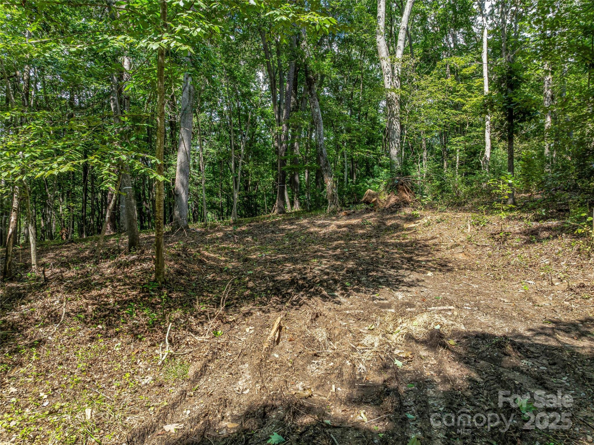 644 Walnut Valley Parkway - Photo 37