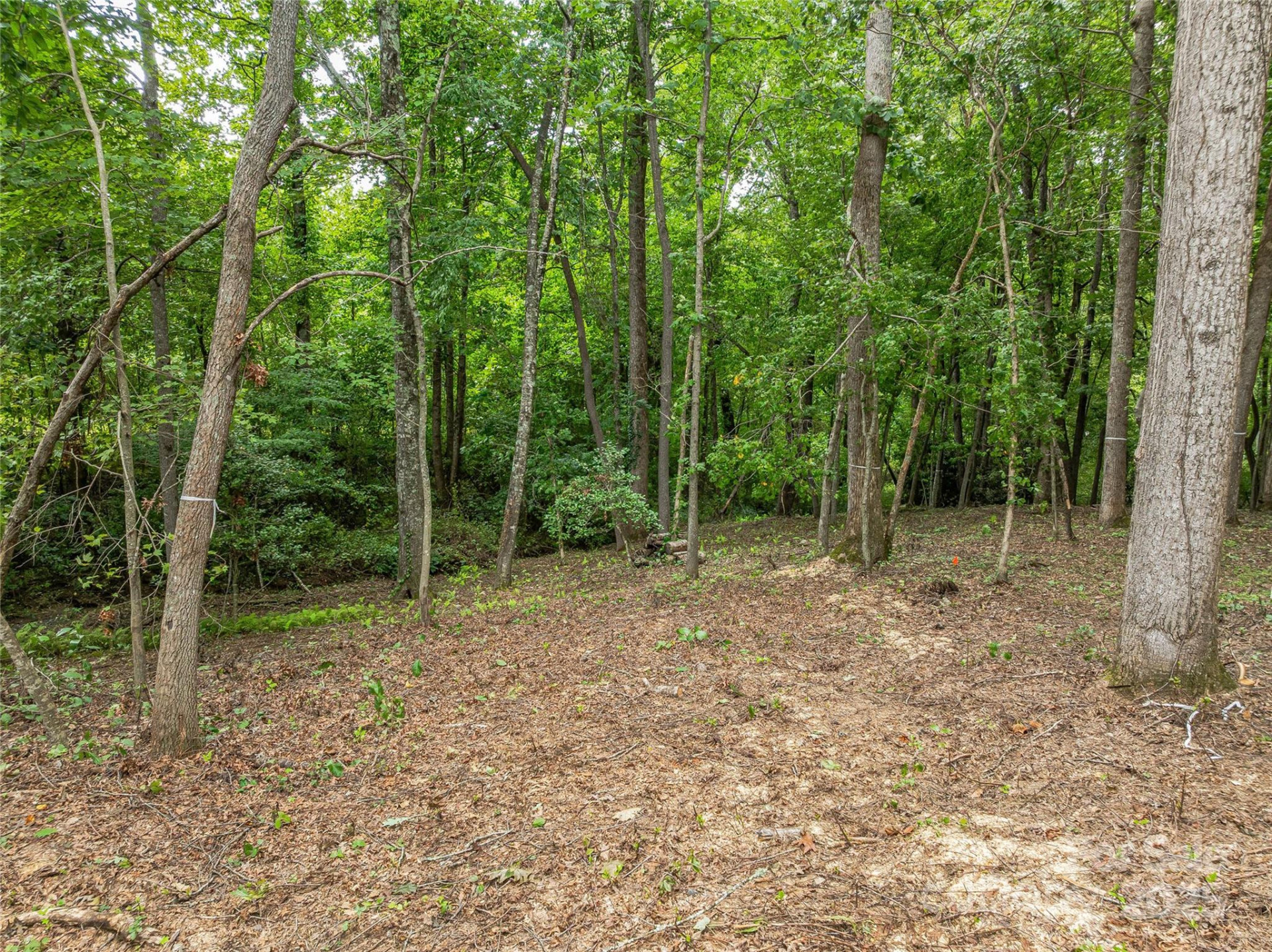 644 Walnut Valley Parkway - Photo 38