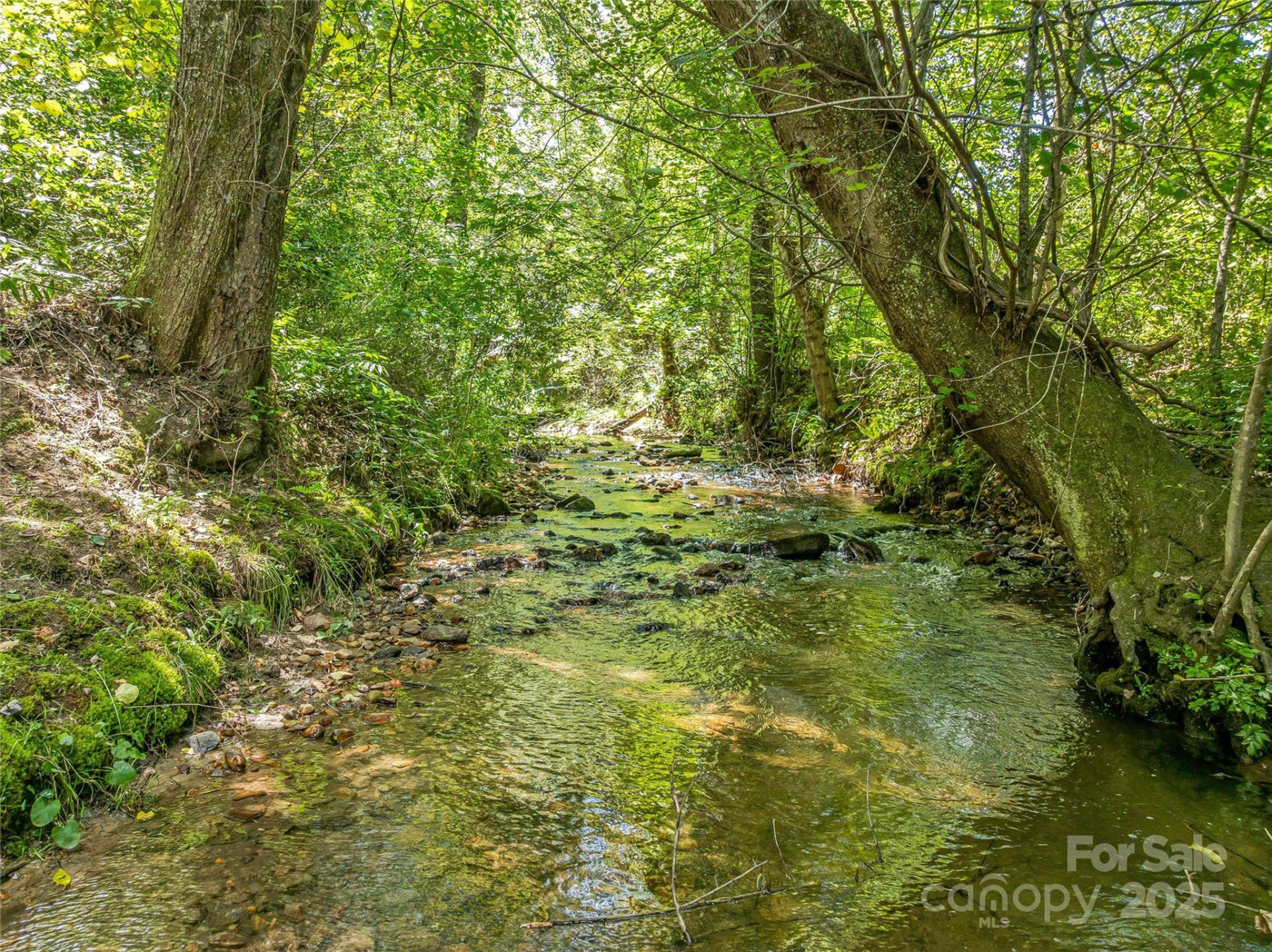 644 Walnut Valley Parkway - Photo 10