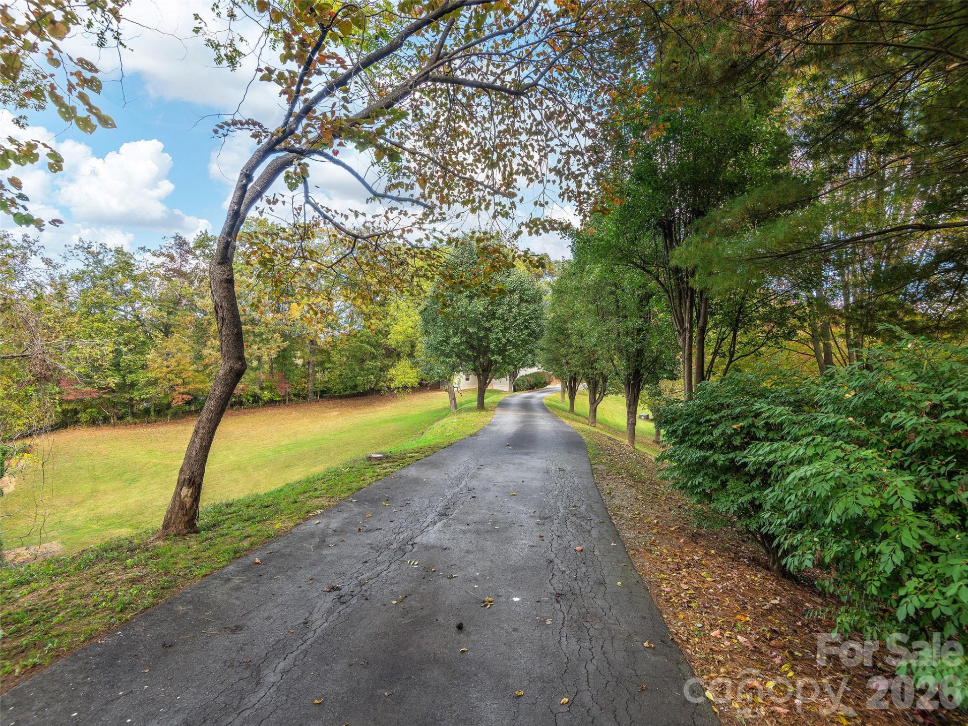 355 Johnson Drive - Photo 41