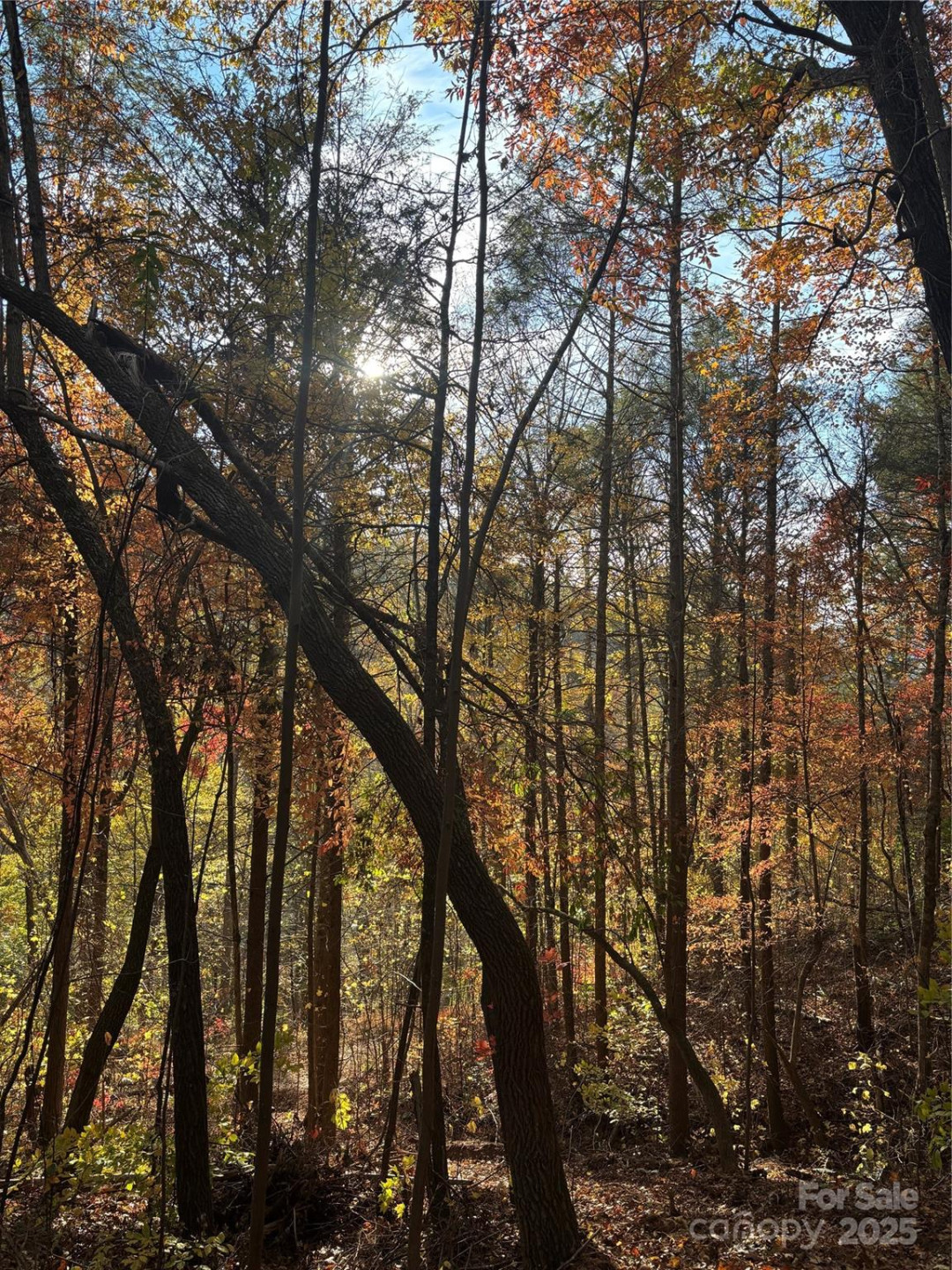 000 Cook Cove Road #2 - Photo 34