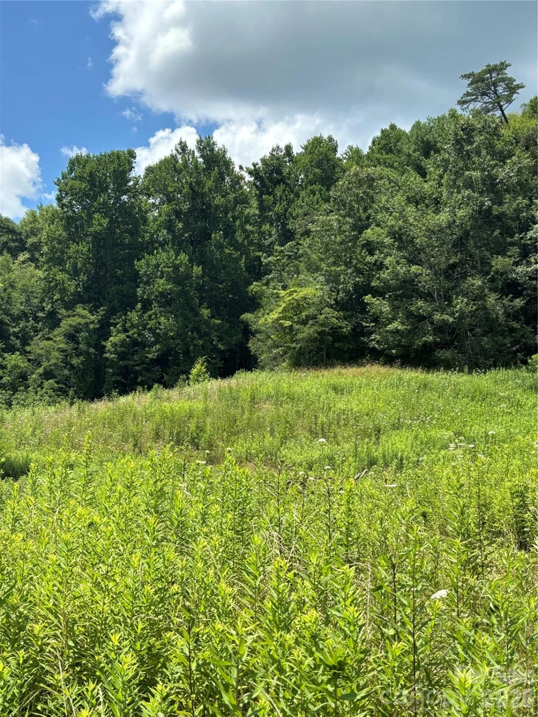 000 Cook Cove Road #2 - Photo 34