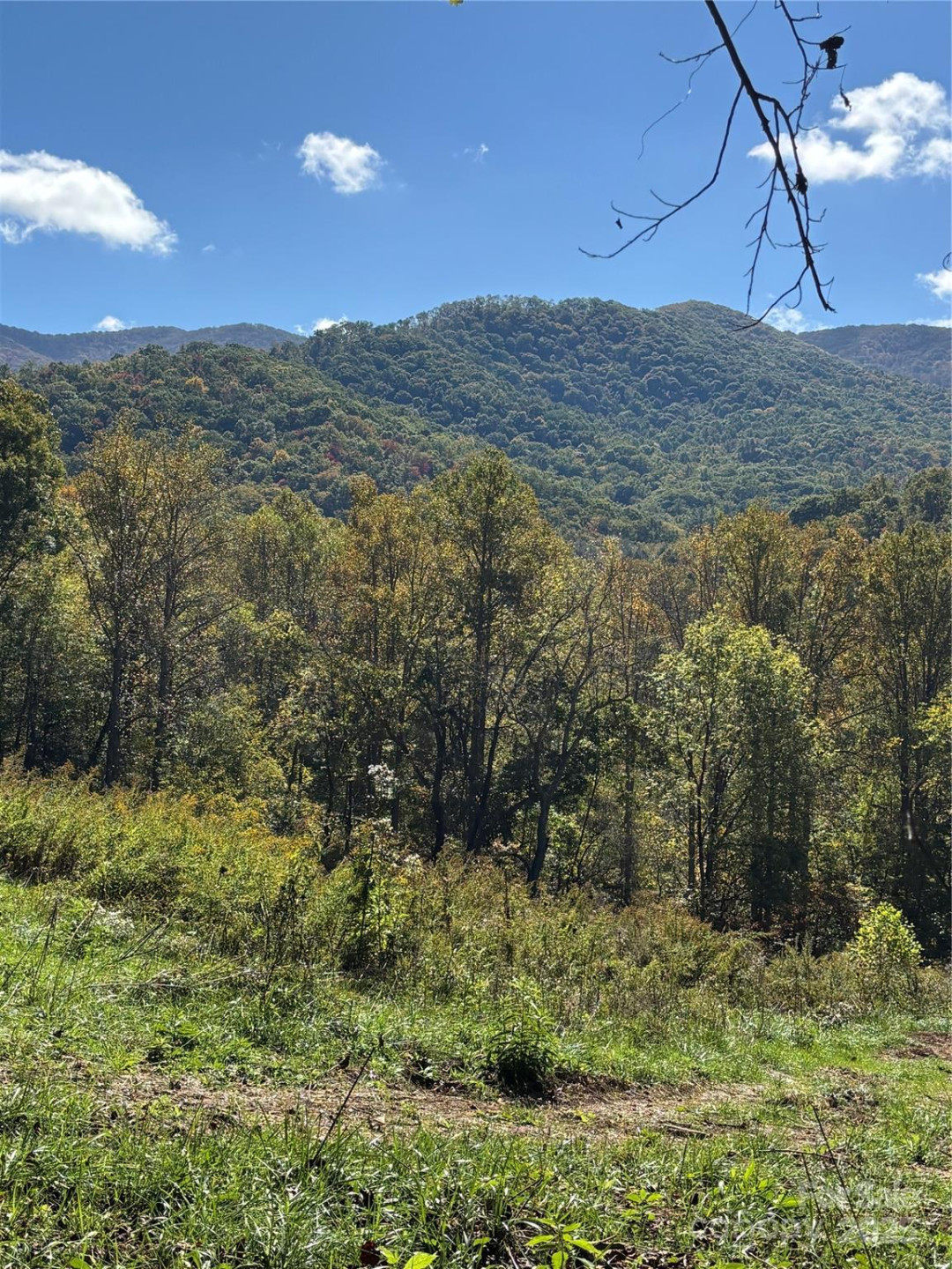 000 Cook Cove Road #2 - Photo 35