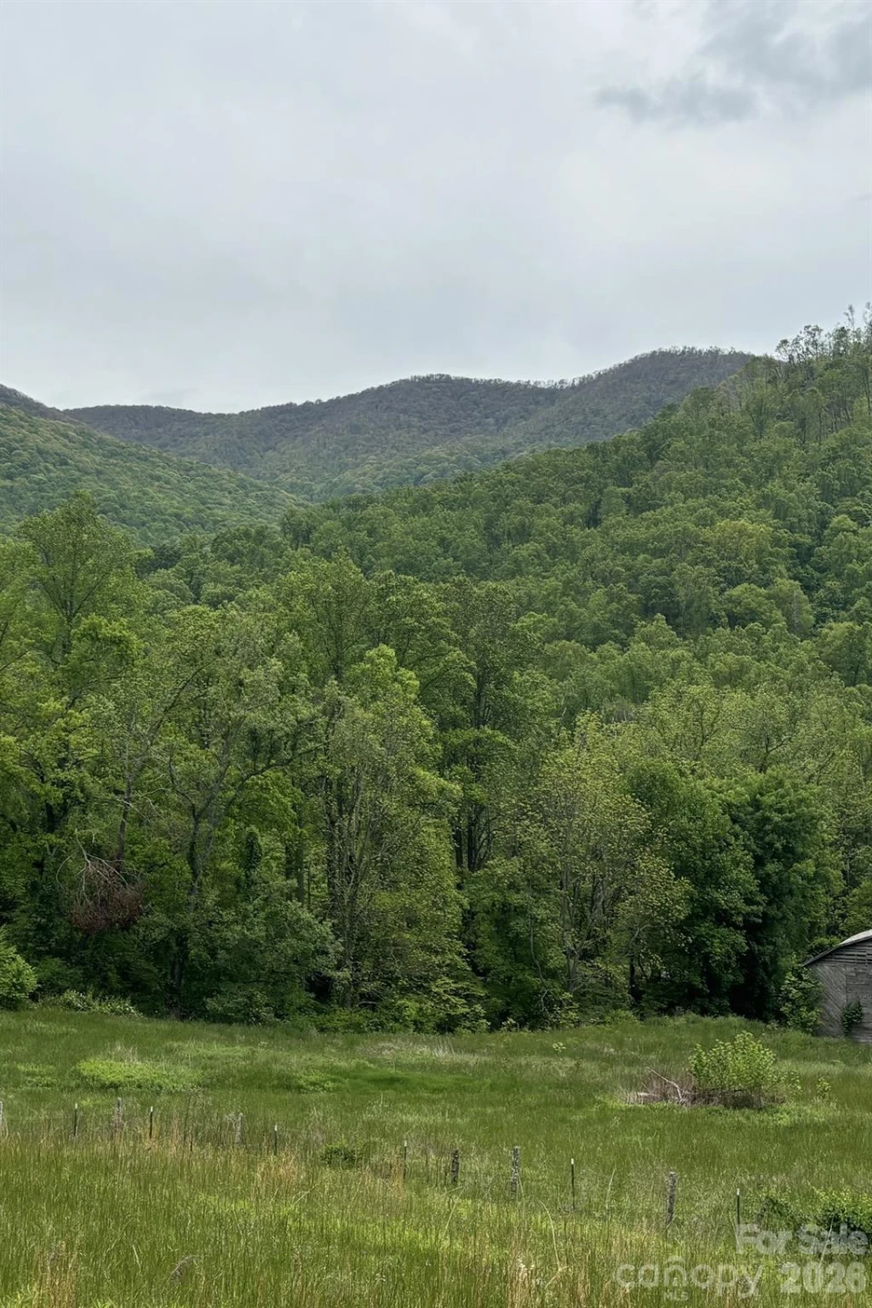 000 Cook Cove Road #2 - Photo 35