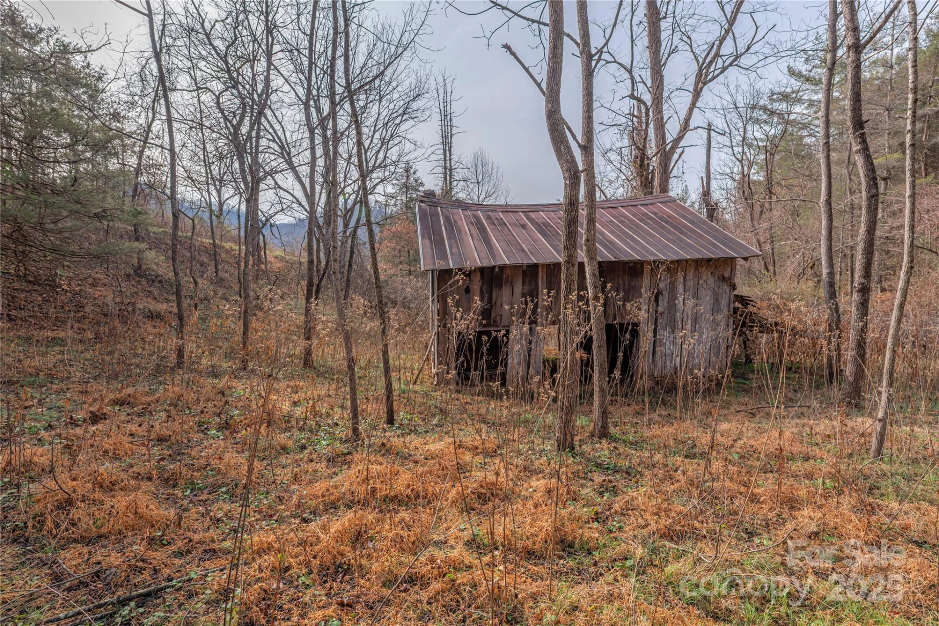 0 Hooper Cemetery Road #31 - Photo 11