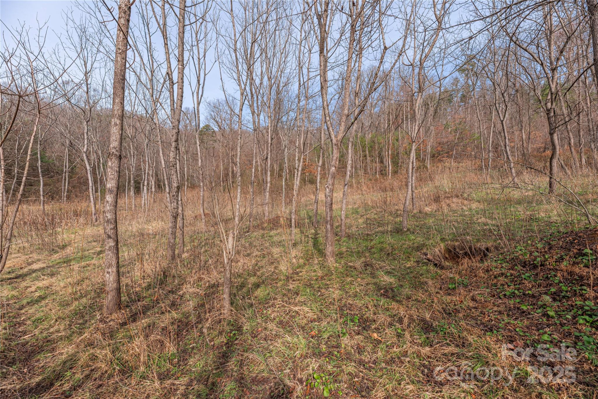 0 Hooper Cemetery Road #31 - Photo 12