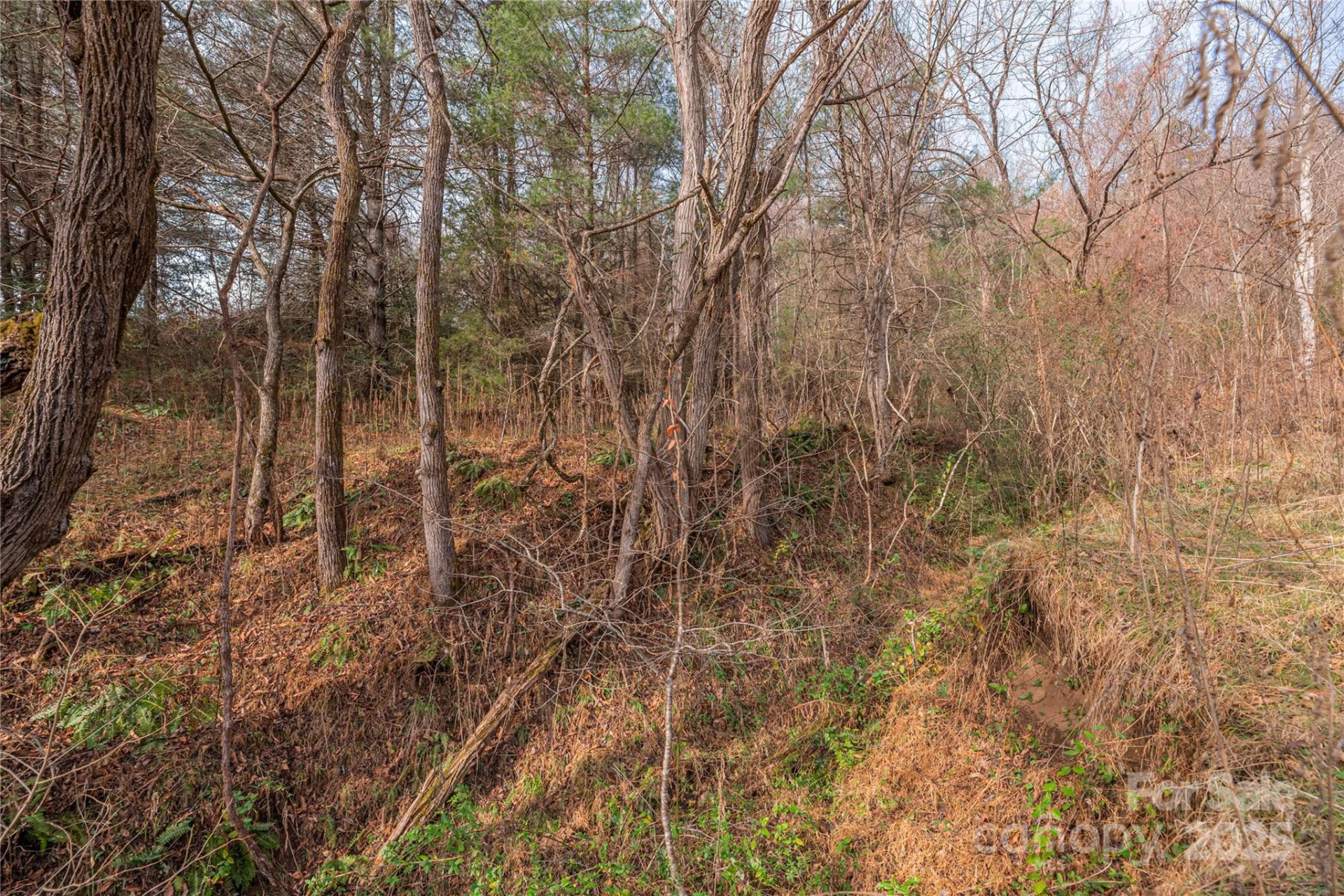 0 Hooper Cemetery Road #31 - Photo 13