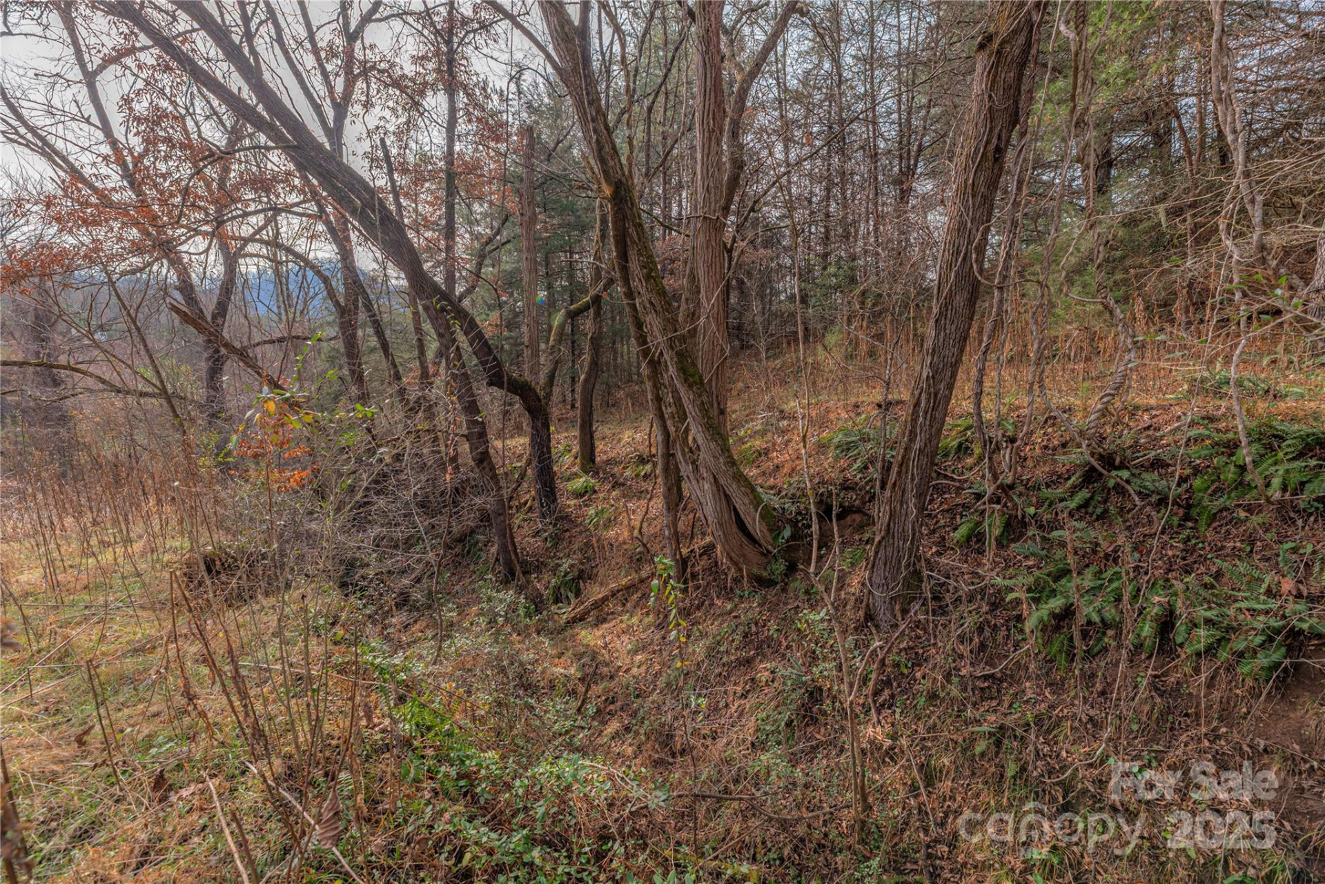 0 Hooper Cemetery Road #31 - Photo 14