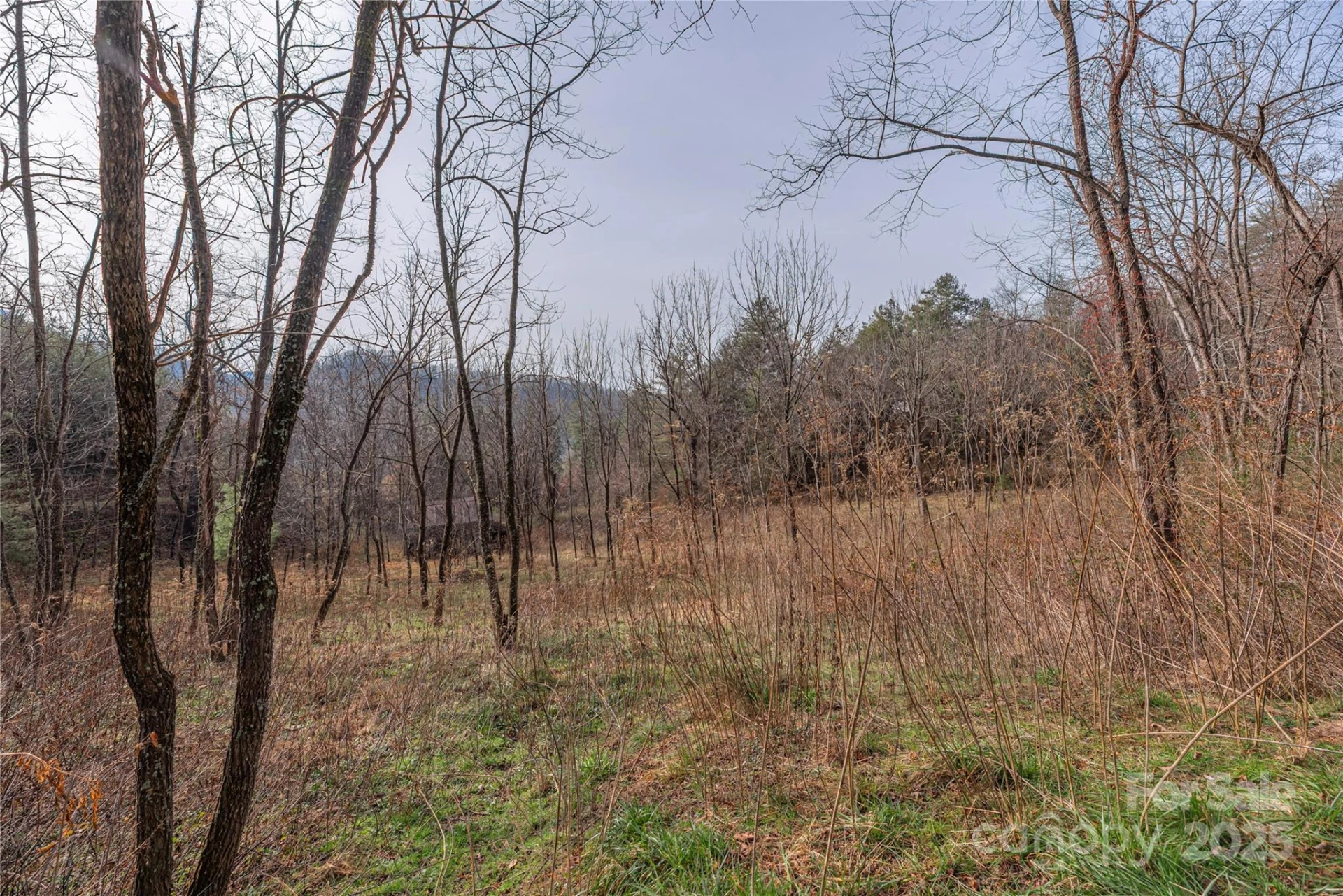0 Hooper Cemetery Road #31 - Photo 6