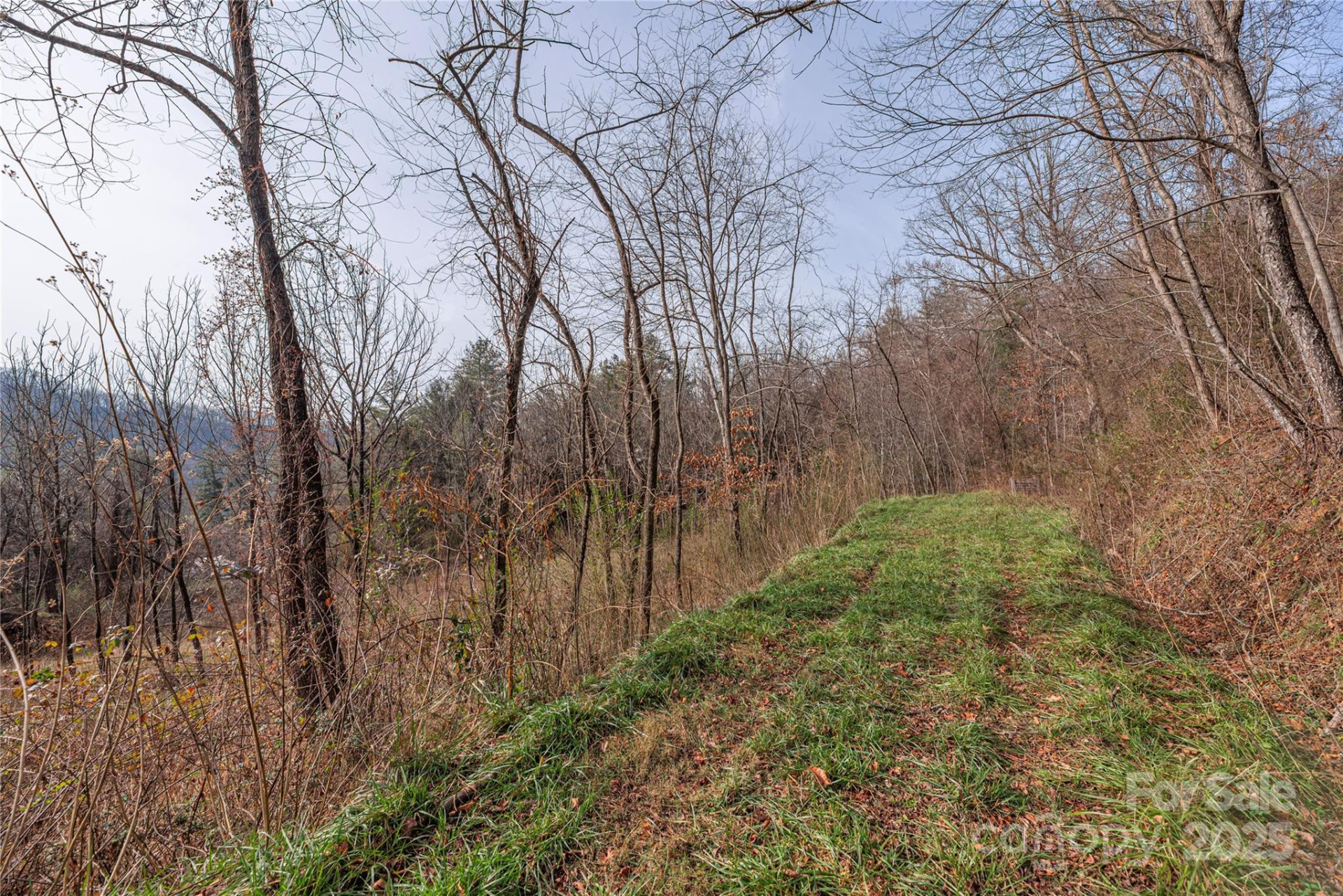 0 Hooper Cemetery Road #31 - Photo 7