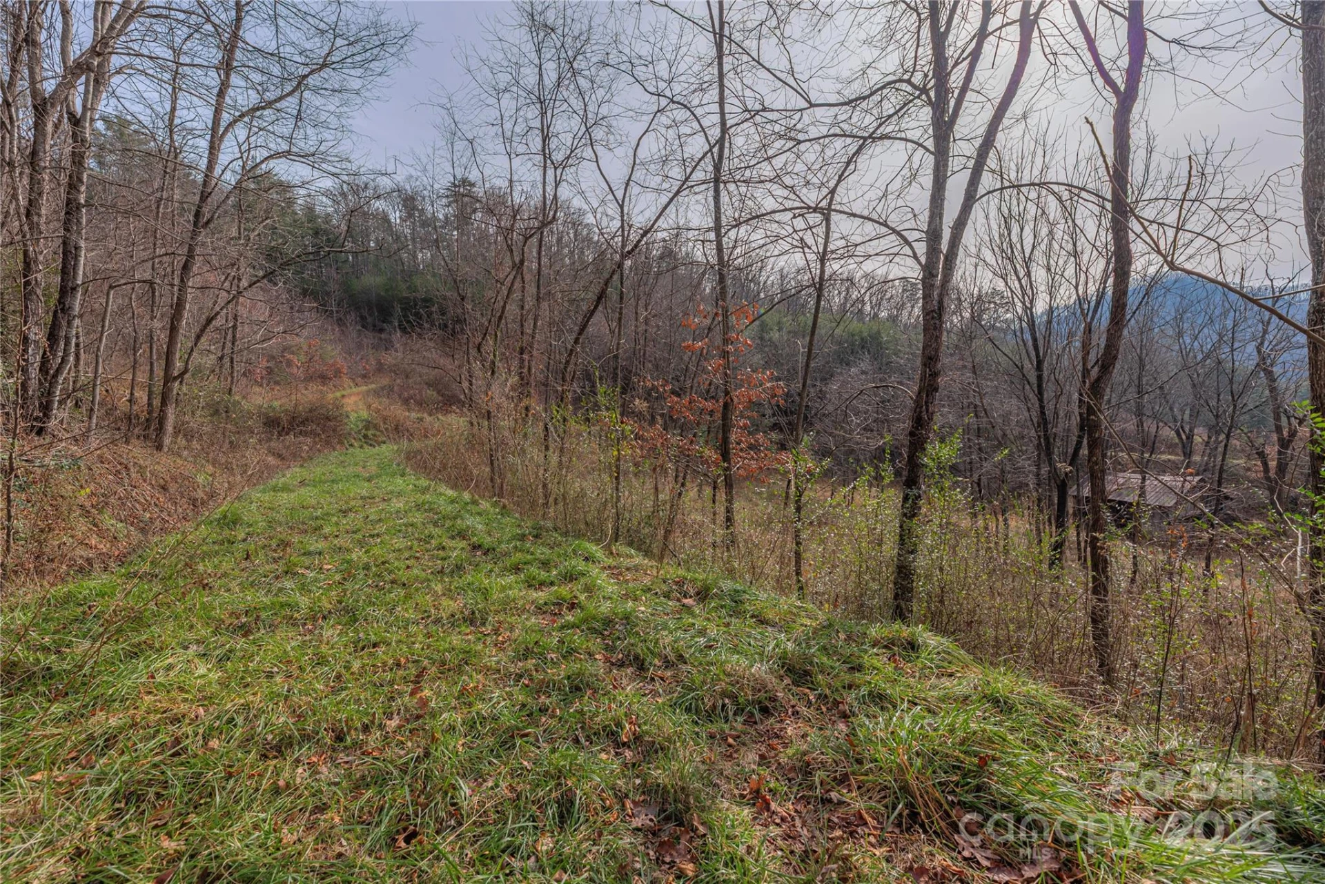 0 Hooper Cemetery Road #31 - Photo 8