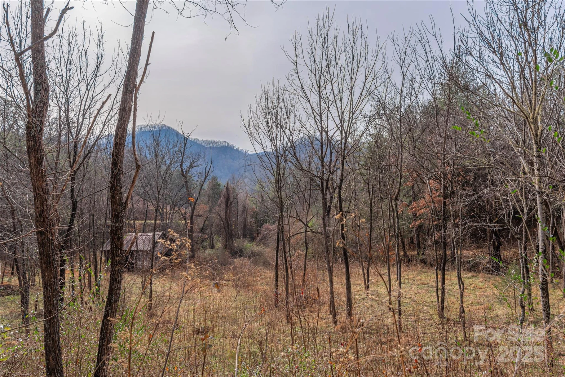 0 Hooper Cemetery Road #31 - Photo 9