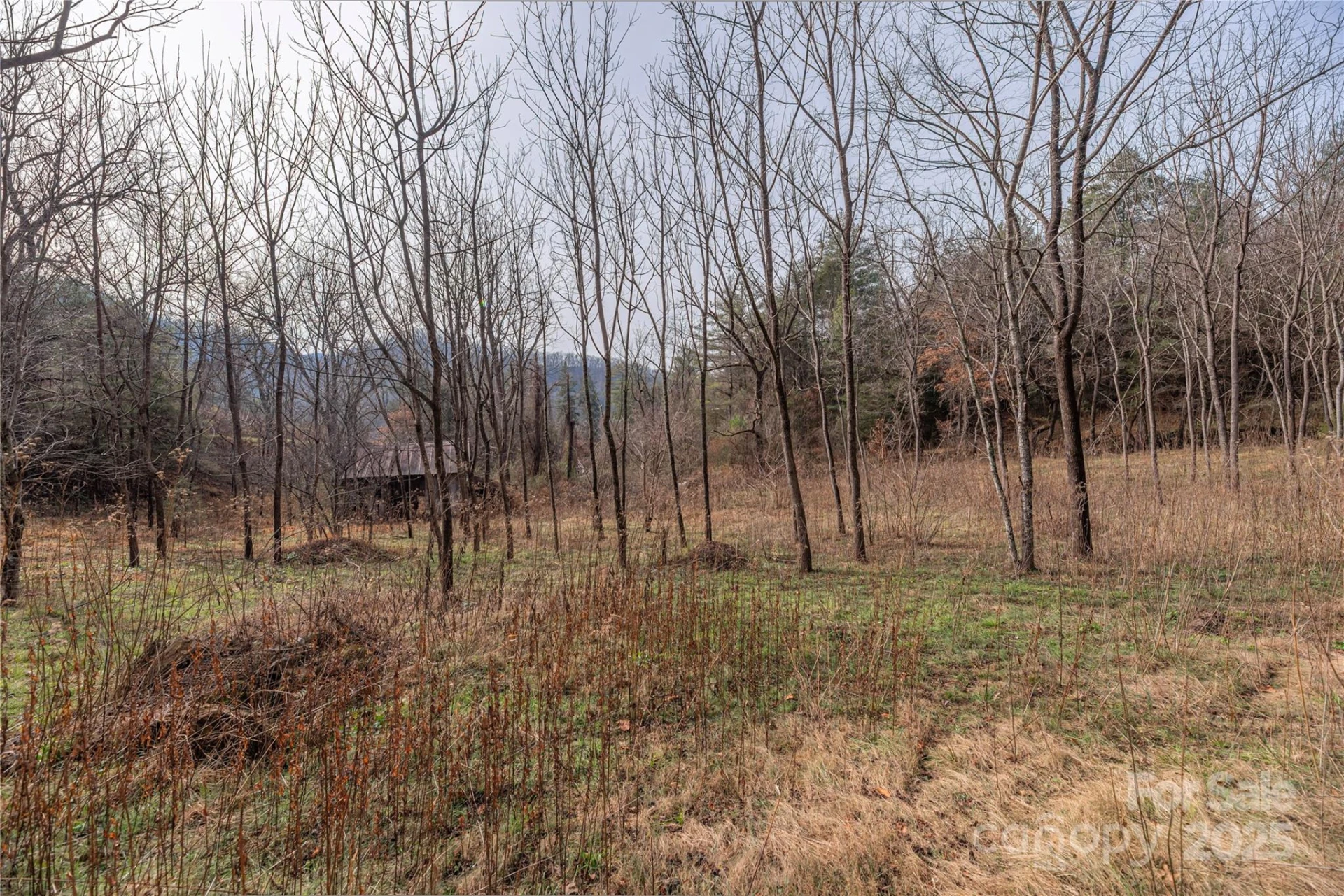 0 Hooper Cemetery Road #31 - Photo 10