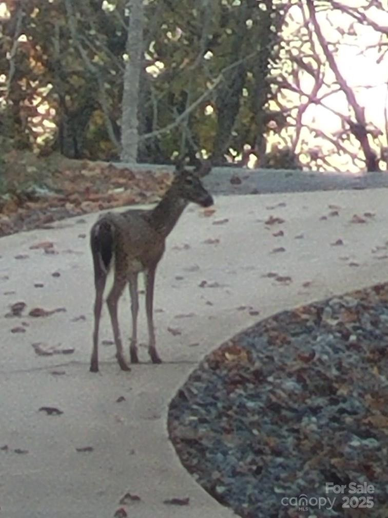 146 Sarinac Drive - Photo 41