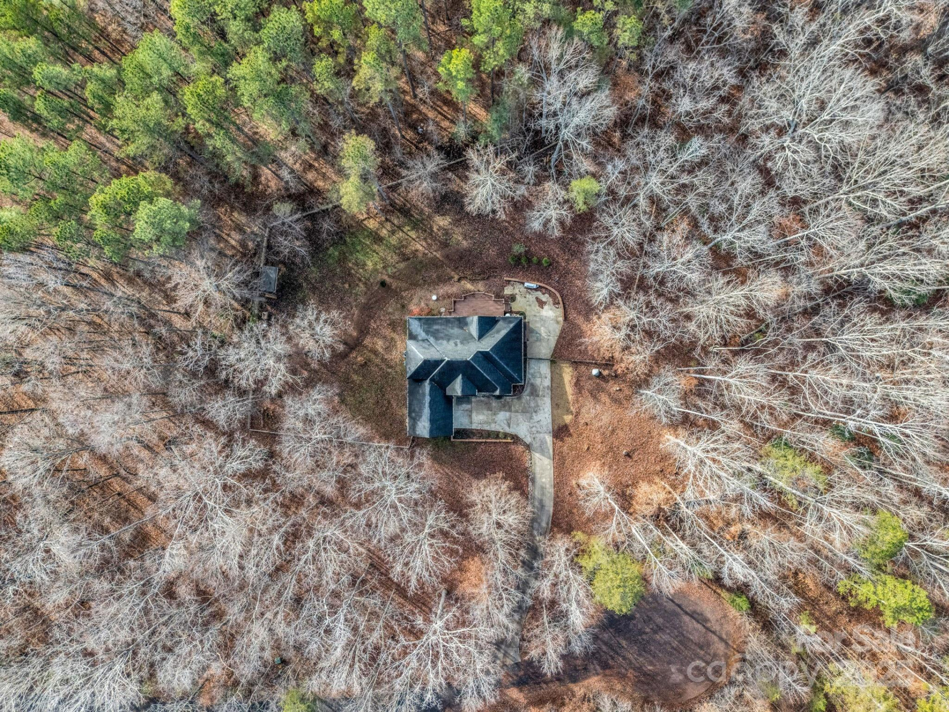 351 Rambling Creek - Photo 44