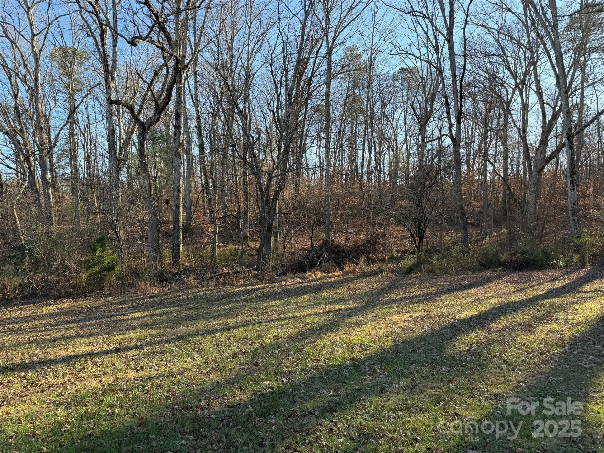 6496 US 221S Highway - Photo 14