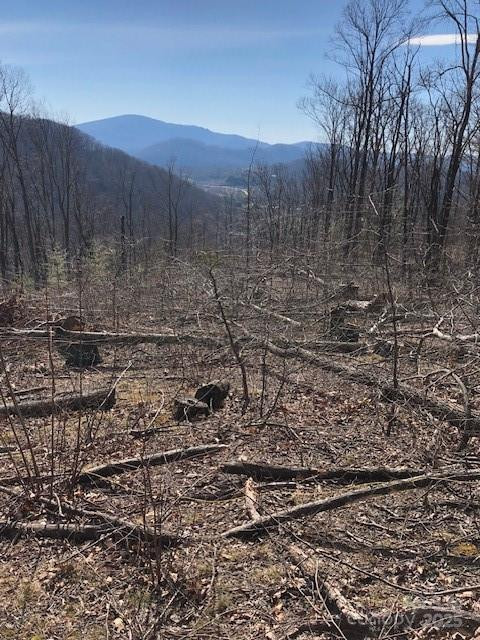 000 Butler Ridge Trail #26 - Photo 3