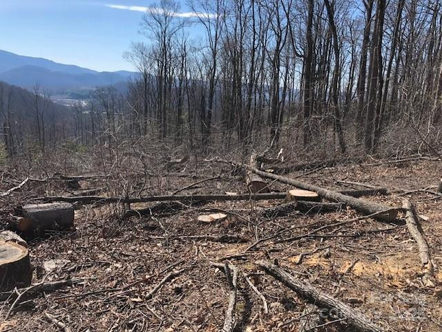 000 Butler Ridge Trail #27 - Photo 4