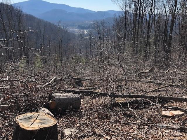 000 Butler Ridge Trail #27 - Photo 5