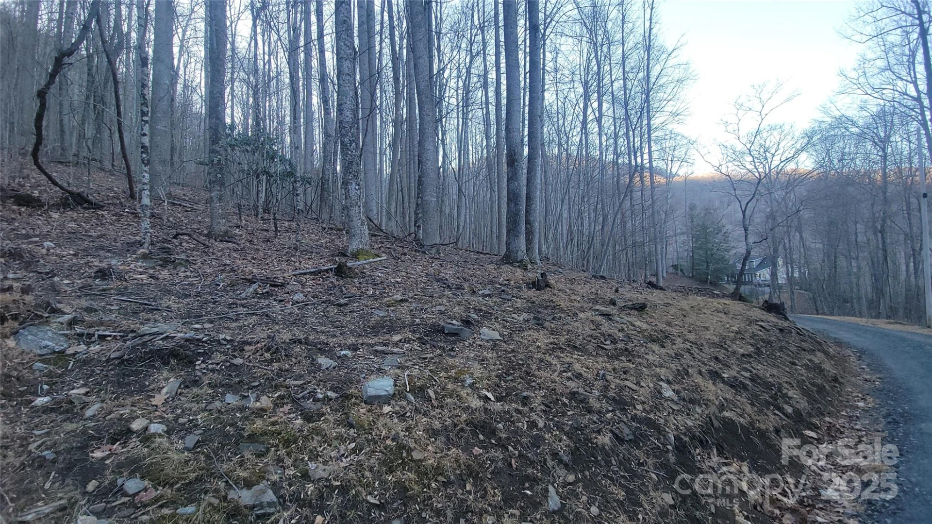 Lot 7B Hickory Springs Road #7B - Photo 2