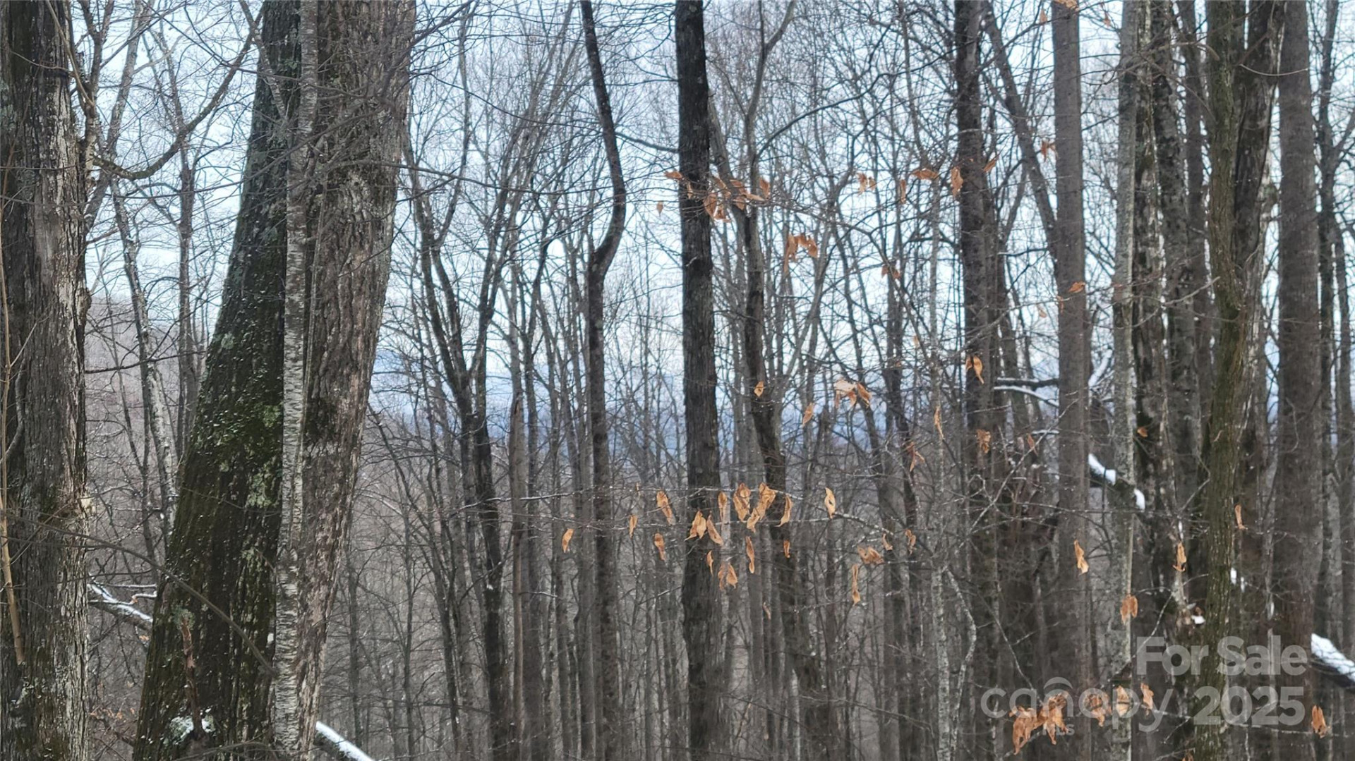 Lot 7B Hickory Springs Road #7B - Photo 11