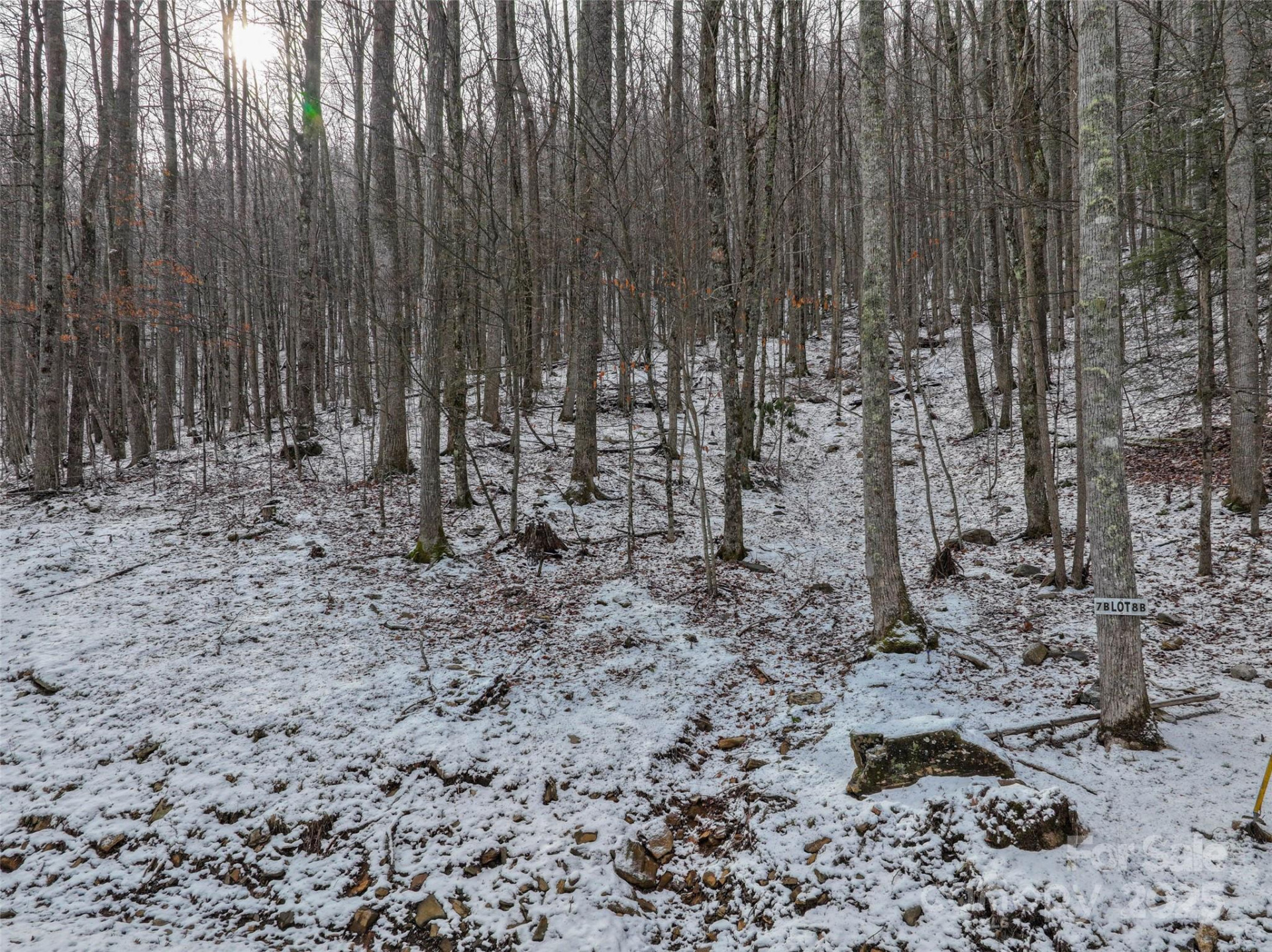 Lot 7B Hickory Springs Road #7B - Photo 12