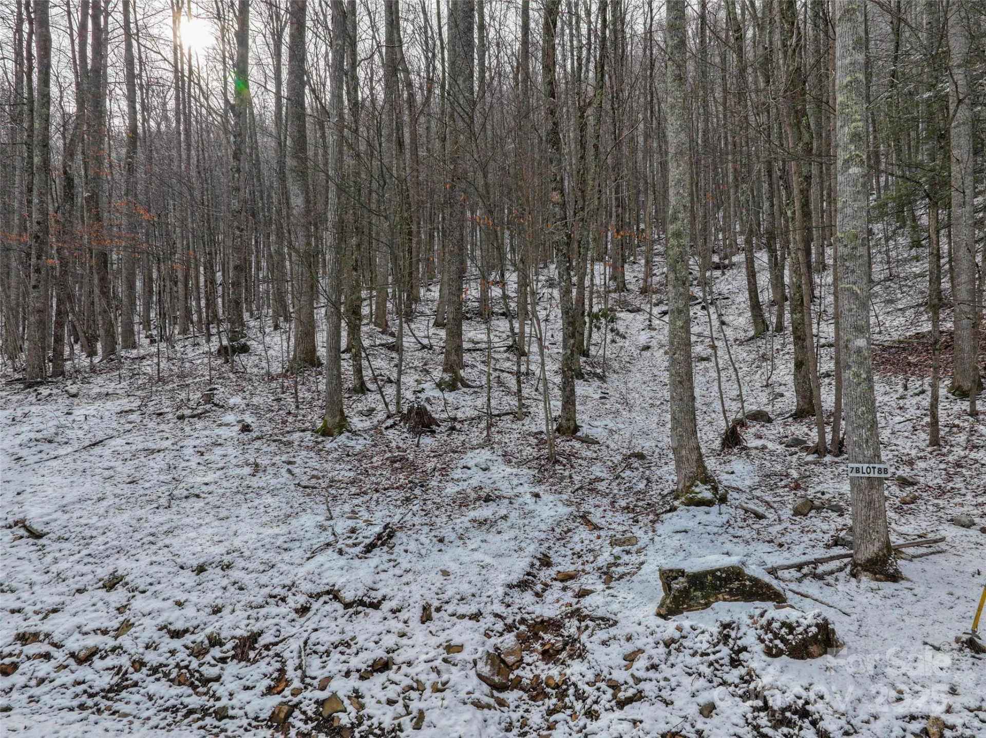 Lot 7B Hickory Springs Road #7B - Photo 12