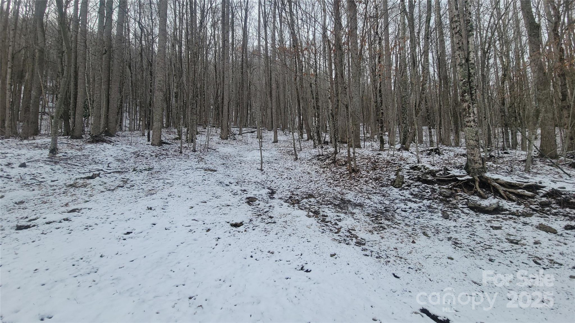 Lot 7B Hickory Springs Road #7B - Photo 13