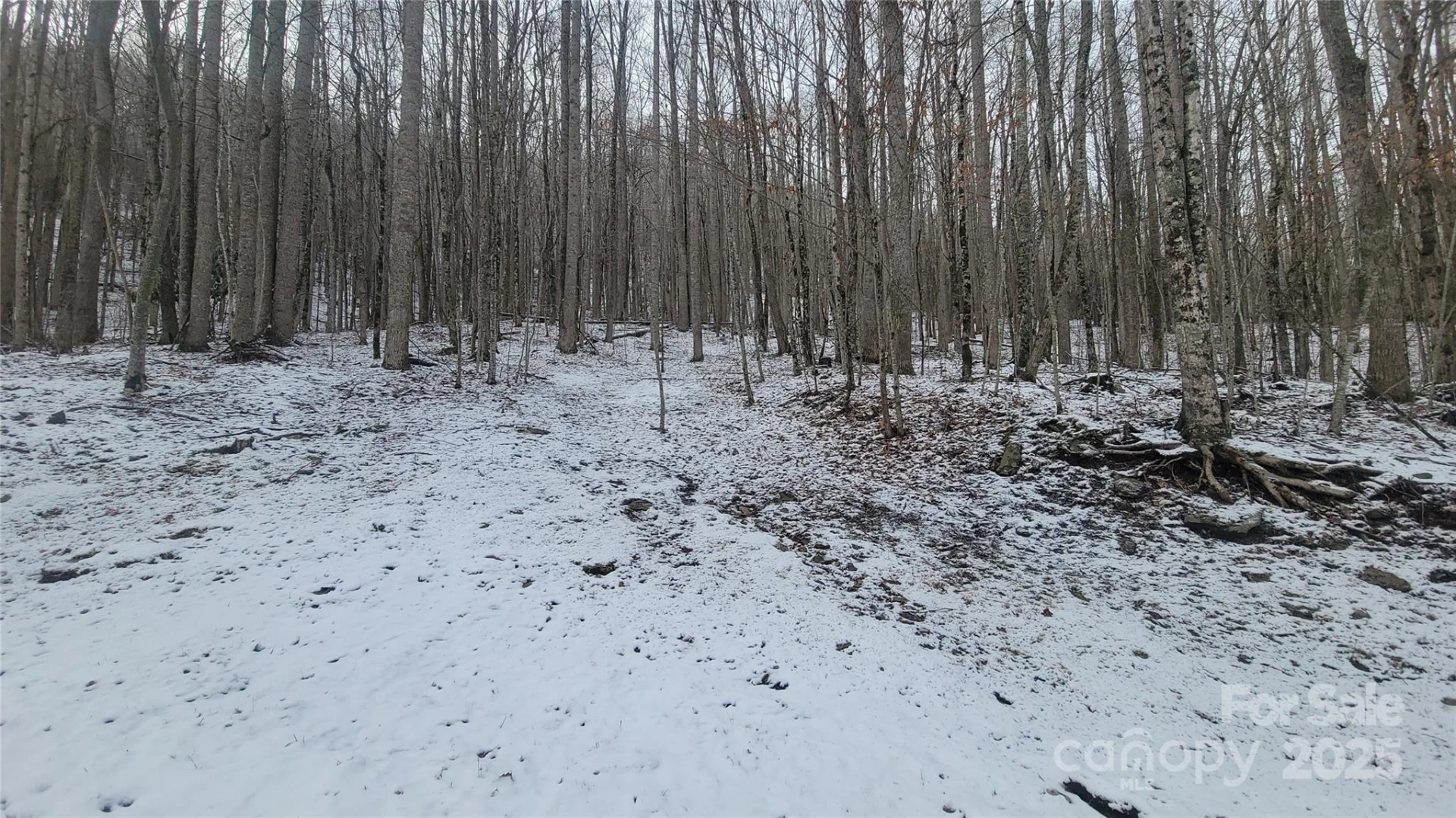 Lot 7B Hickory Springs Road #7B - Photo 13