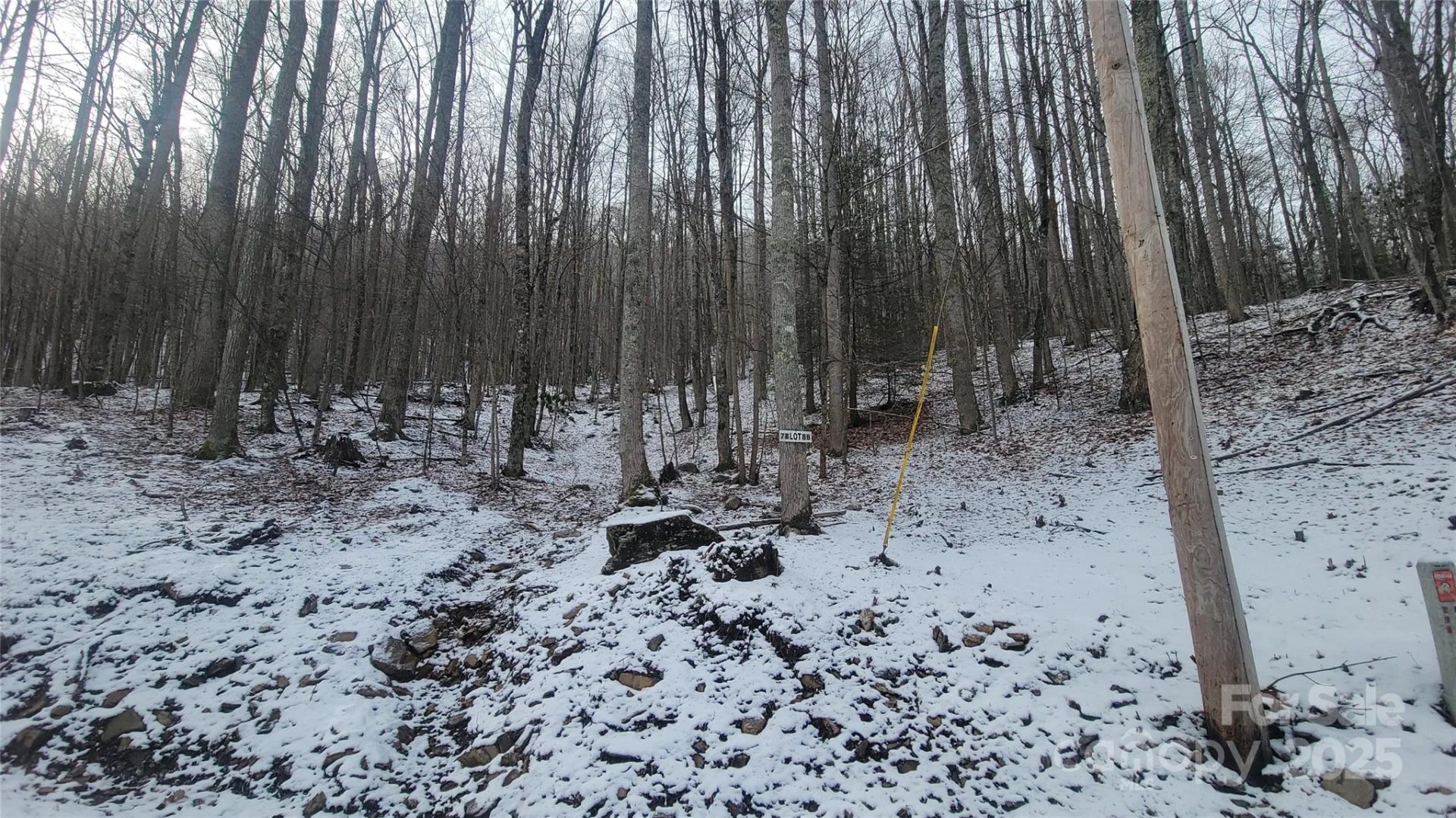 Lot 7B Hickory Springs Road #7B - Photo 14