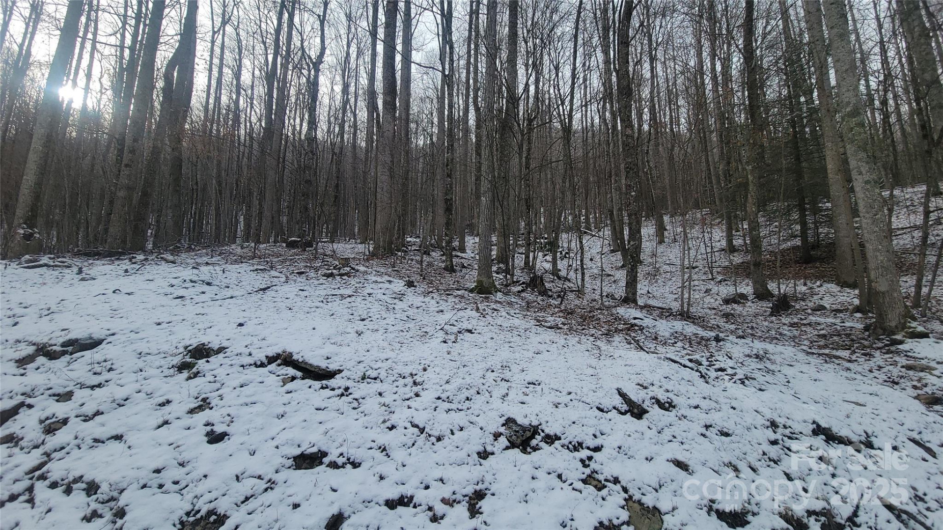 Lot 7B Hickory Springs Road #7B - Photo 15