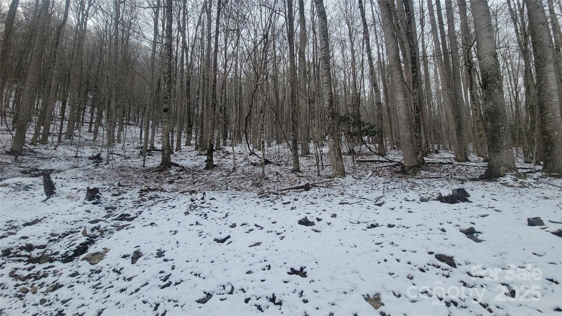 Lot 7B Hickory Springs Road #7B - Photo 16