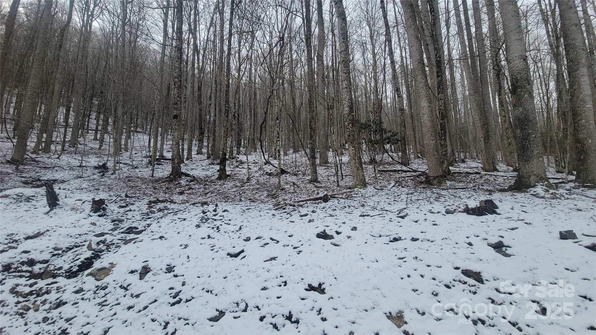 Lot 7B Hickory Springs Road #7B - Photo 16