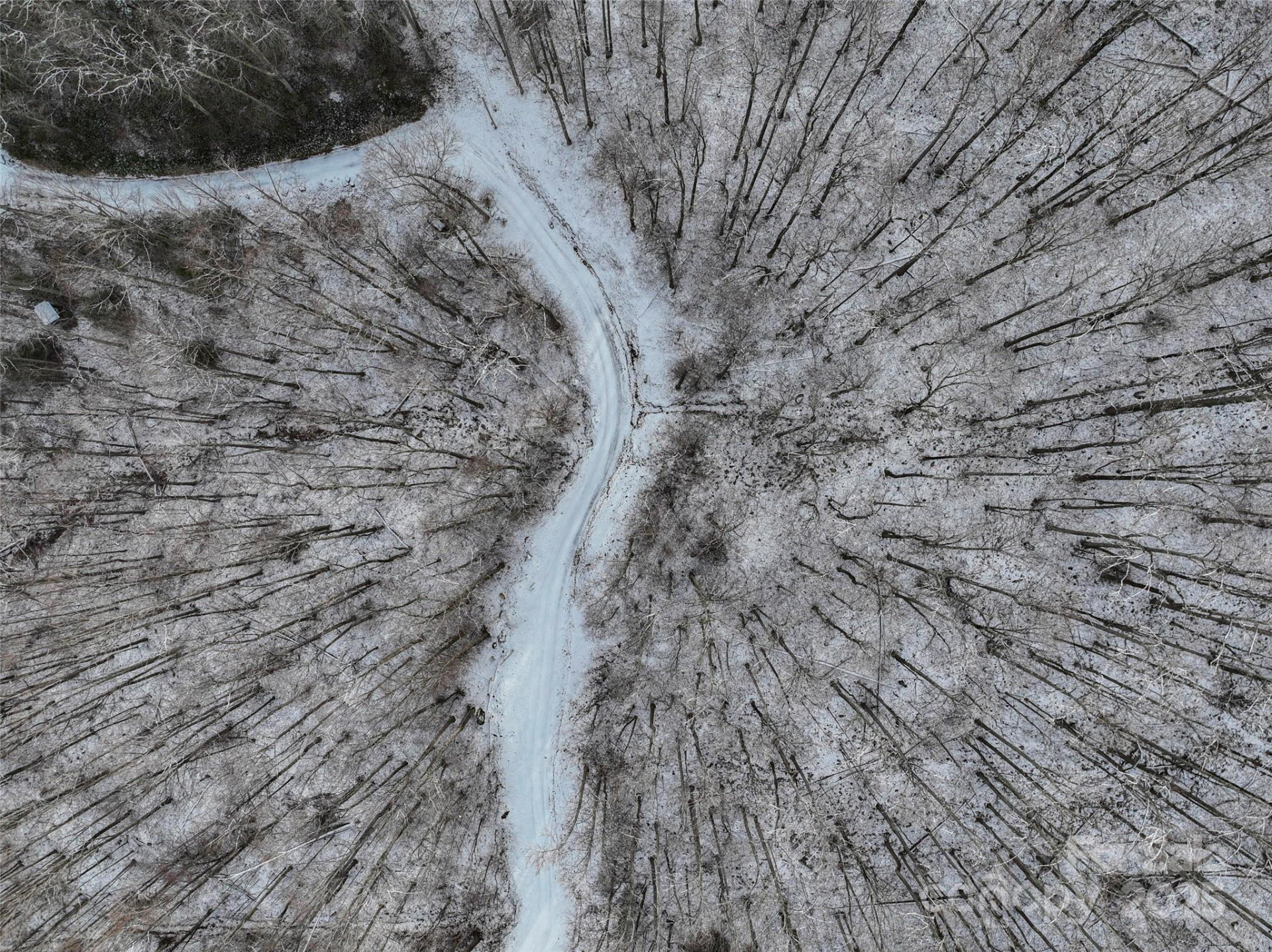 Lot 7B Hickory Springs Road #7B - Photo 19